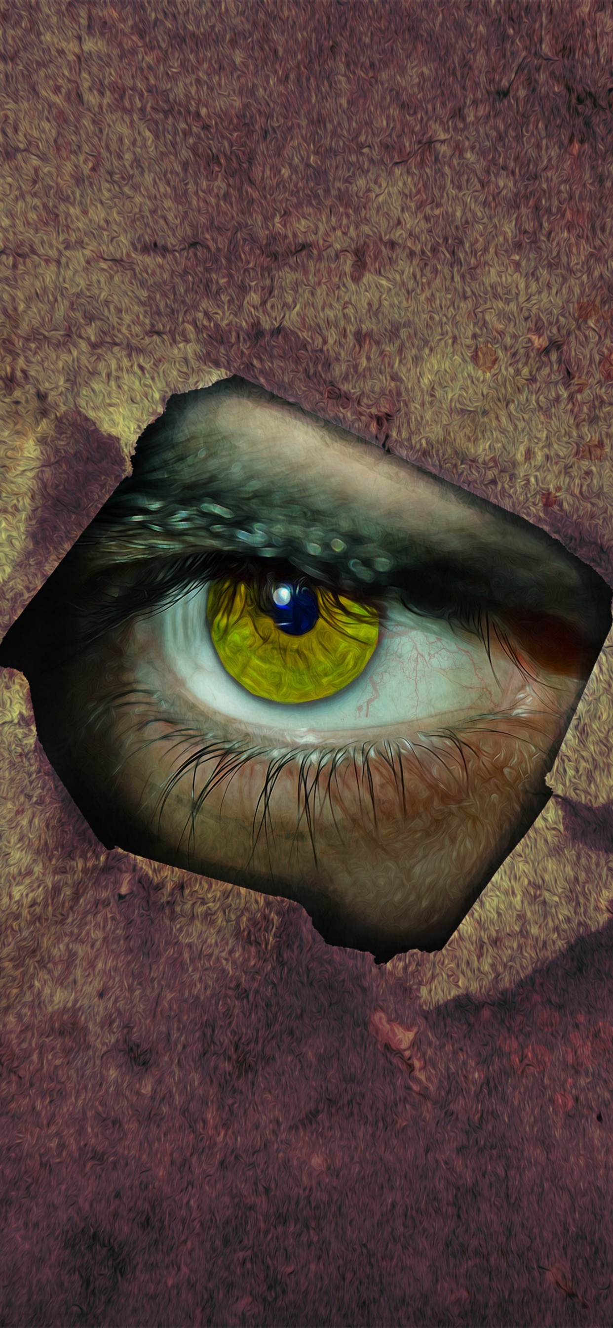 Brown and Black Eye Painting. Wallpaper in 1242x2688 Resolution