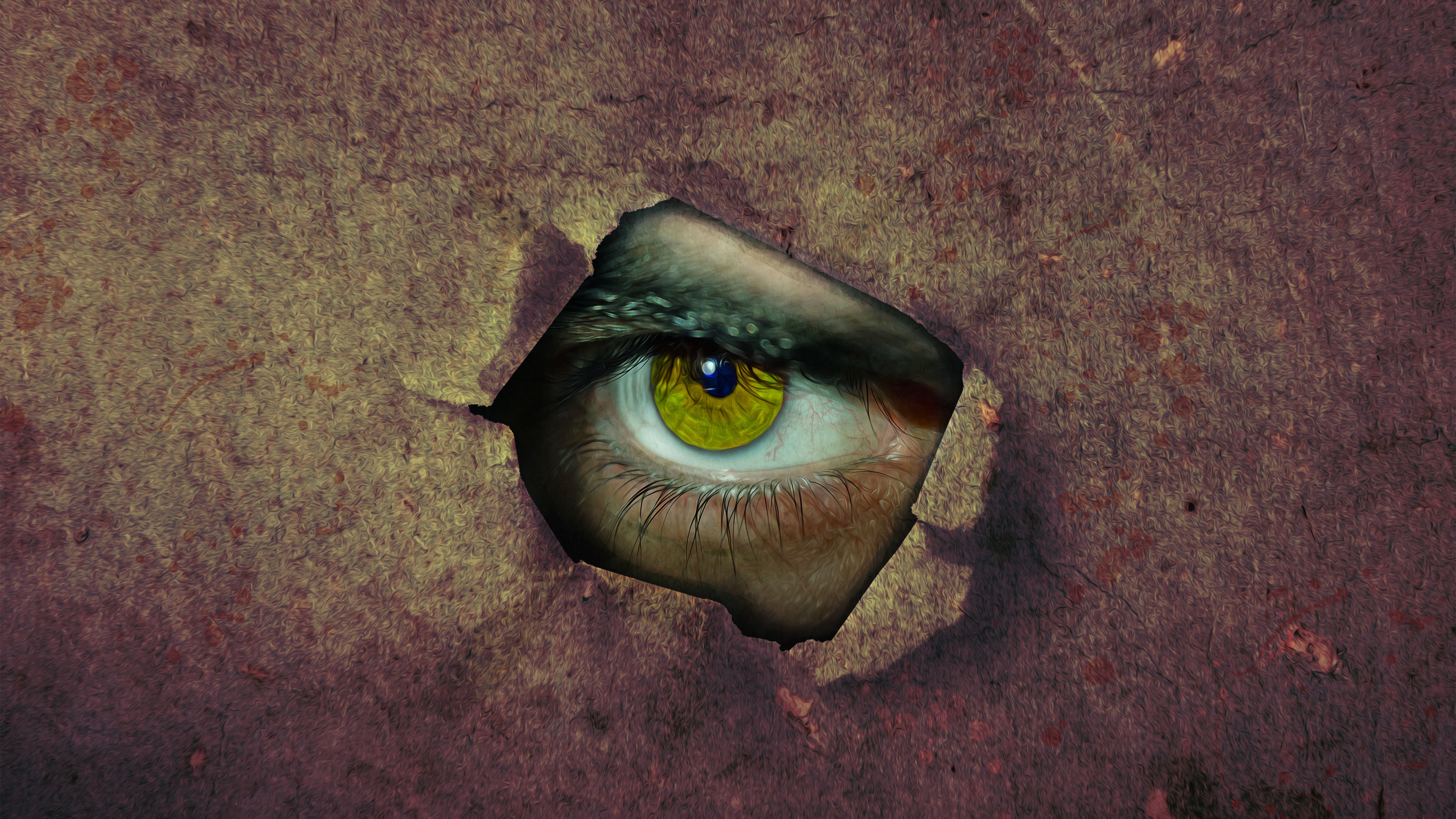 Brown and Black Eye Painting. Wallpaper in 3840x2160 Resolution