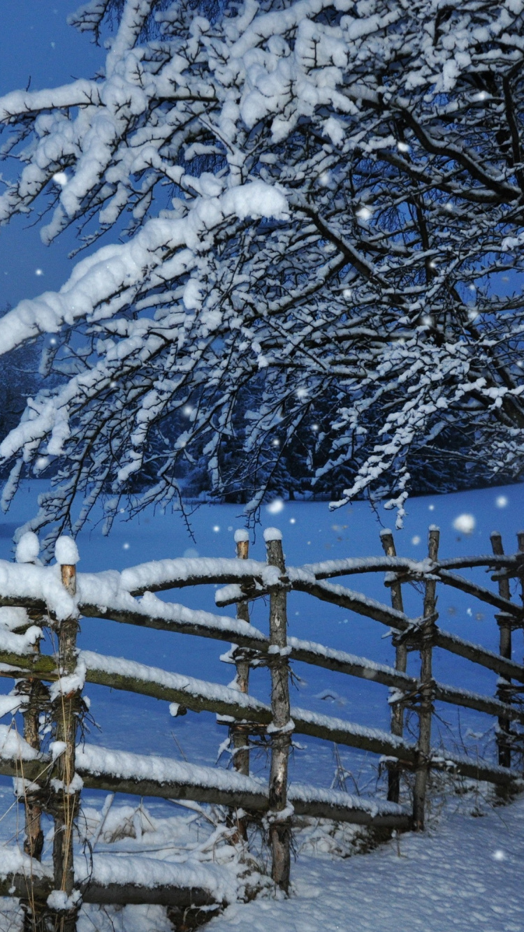 Brown Wooden Fence Covered With Snow During Night Time. Wallpaper in 750x1334 Resolution