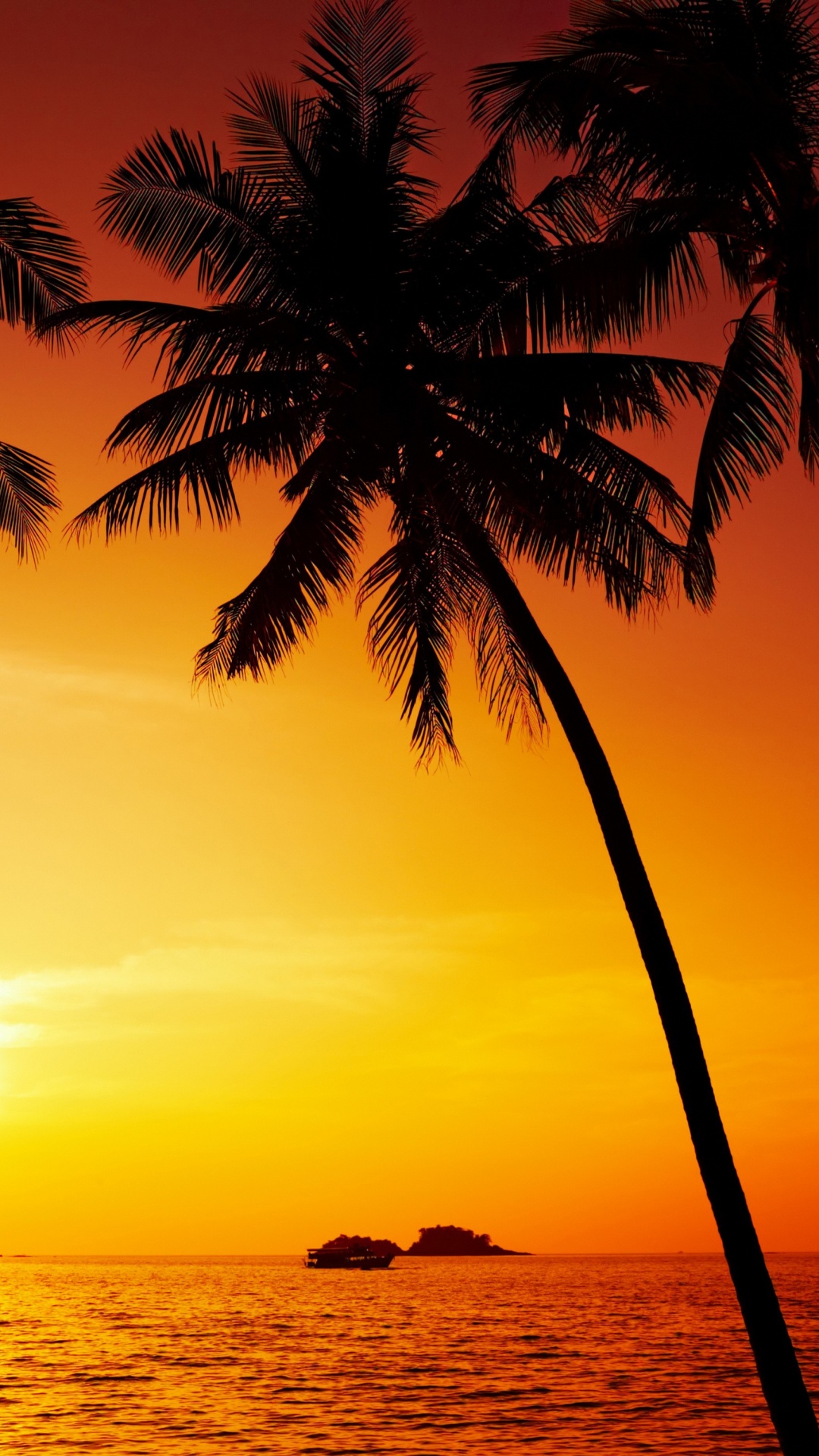 Silhouette of Palm Tree Near Body of Water During Sunset. Wallpaper in 1080x1920 Resolution