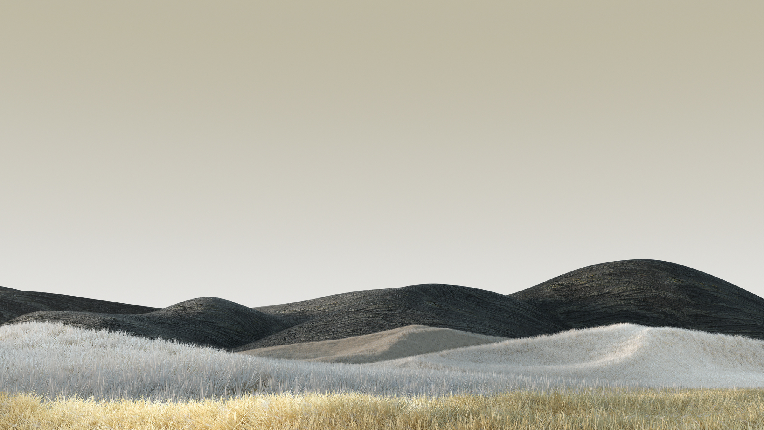 Microsoft Surface, Surface Duo, 表面, Surface Pro 7, Surface Pro 壁纸 2560x1440 允许