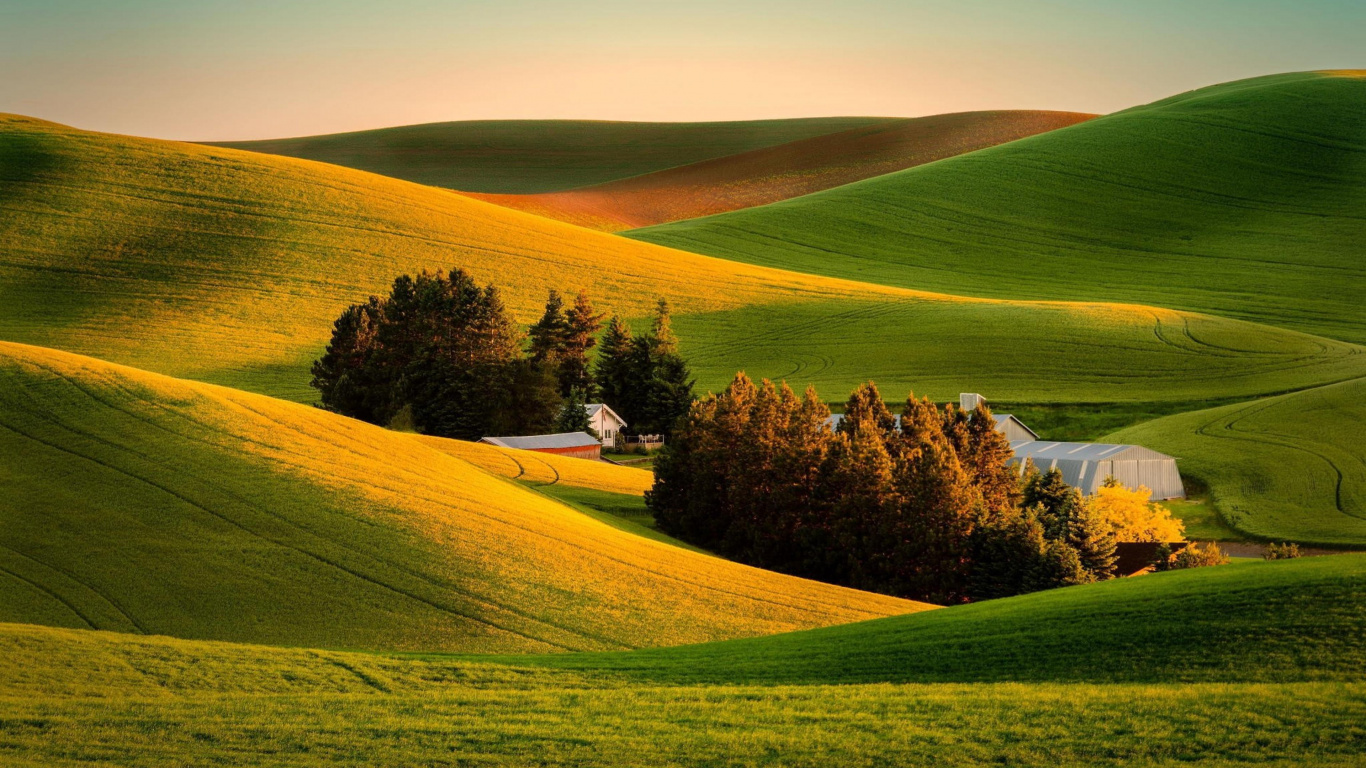 Green Grass Field Near Body of Water During Daytime. Wallpaper in 1366x768 Resolution