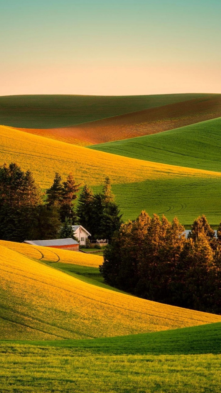 Green Grass Field Near Body of Water During Daytime. Wallpaper in 720x1280 Resolution