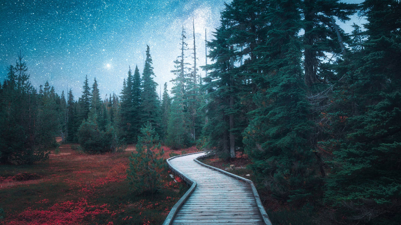 Nature, Cloud, Plant, Natural Landscape, Tree. Wallpaper in 1366x768 Resolution