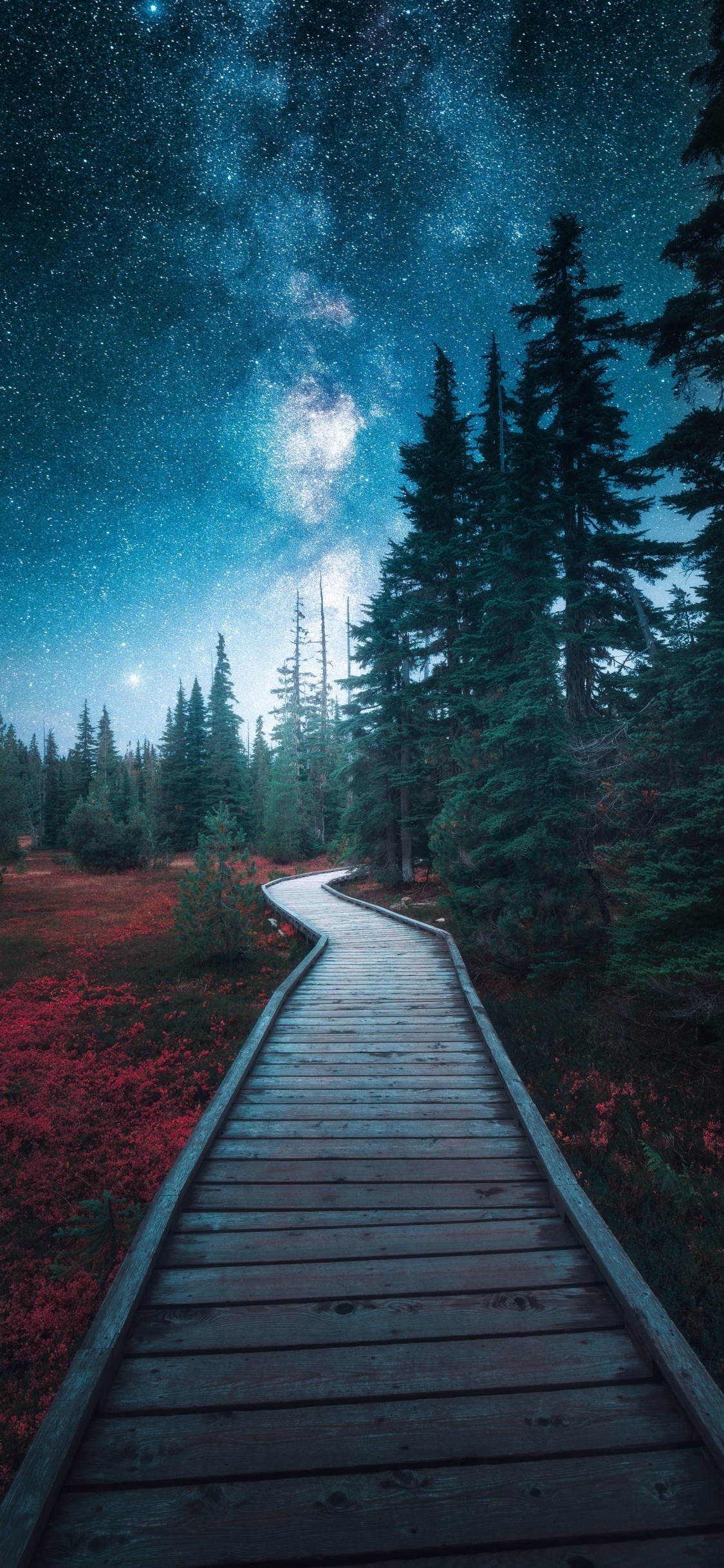 Nature, Paysage Naturel, Environnement Naturel, Biome. Wallpaper in 1125x2436 Resolution