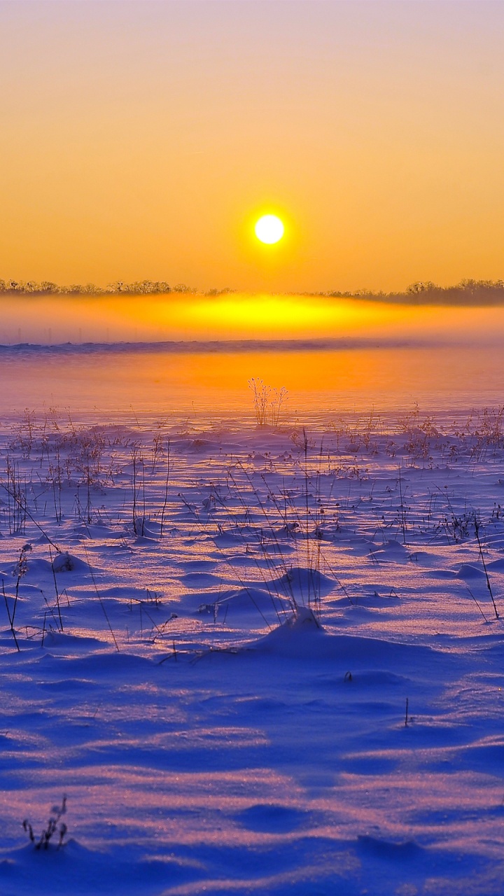 Plan D'eau au Coucher du Soleil. Wallpaper in 720x1280 Resolution