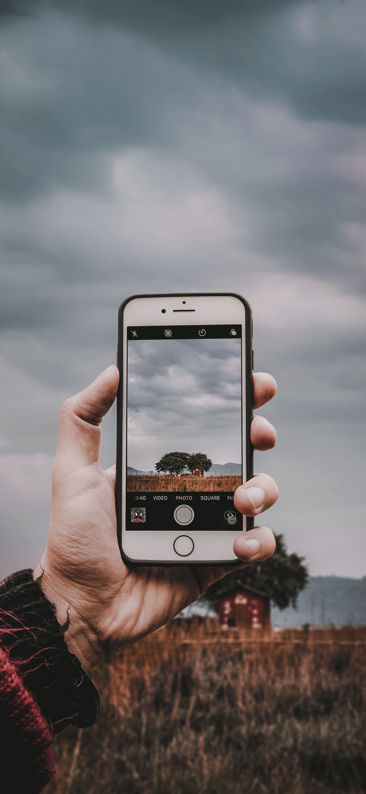 Smartphone, Gadget, Technologie, Dispositif Électronique, Main. Wallpaper in 1242x2688 Resolution