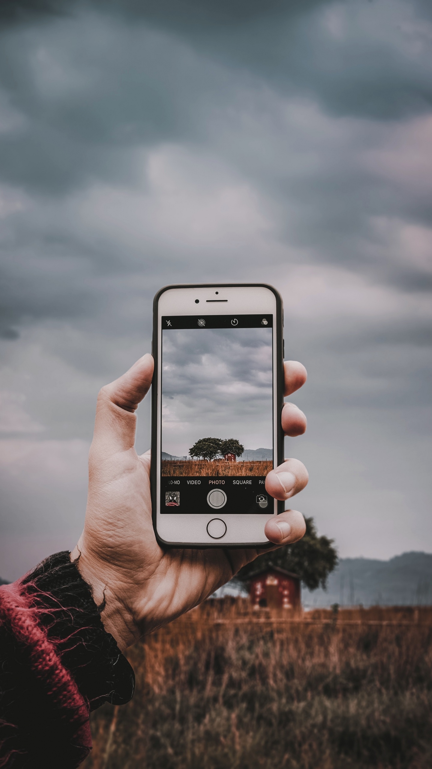 Smartphone, Gadget, Dispositivo Electrónico, Mano, Dispositivo de Comunicación. Wallpaper in 1440x2560 Resolution