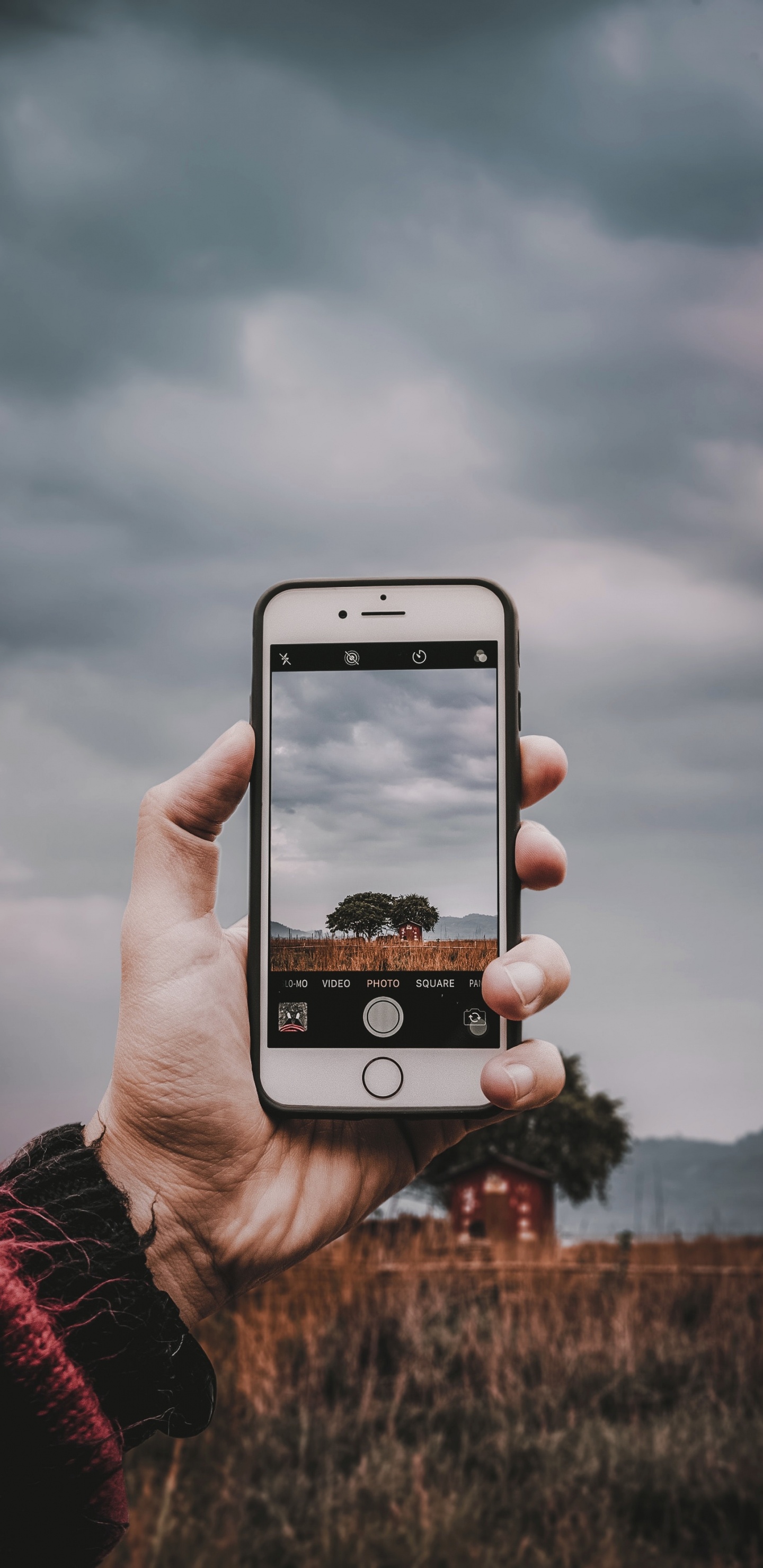 Smartphone, Gadget, Technologie, Elektronisches Gerät, Hand. Wallpaper in 1440x2960 Resolution