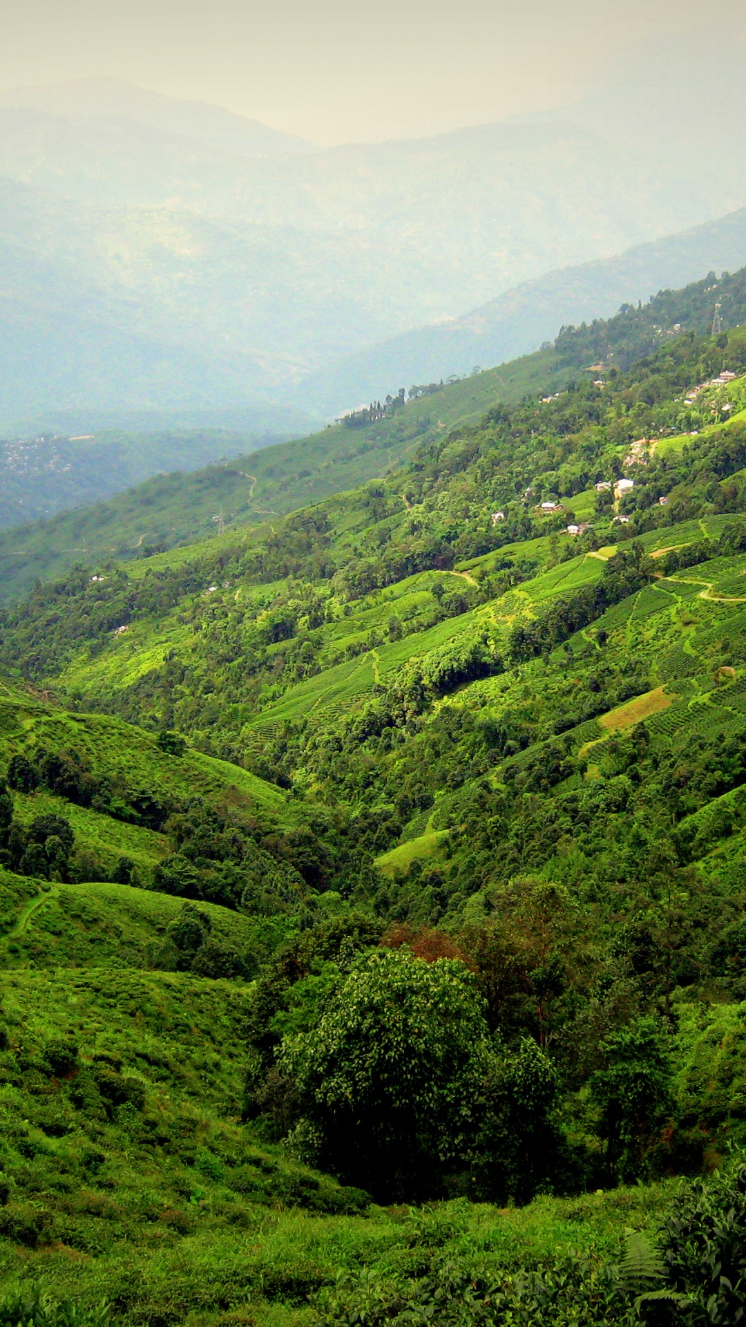 Green Mountains Under White Sky During Daytime. Wallpaper in 1080x1920 Resolution