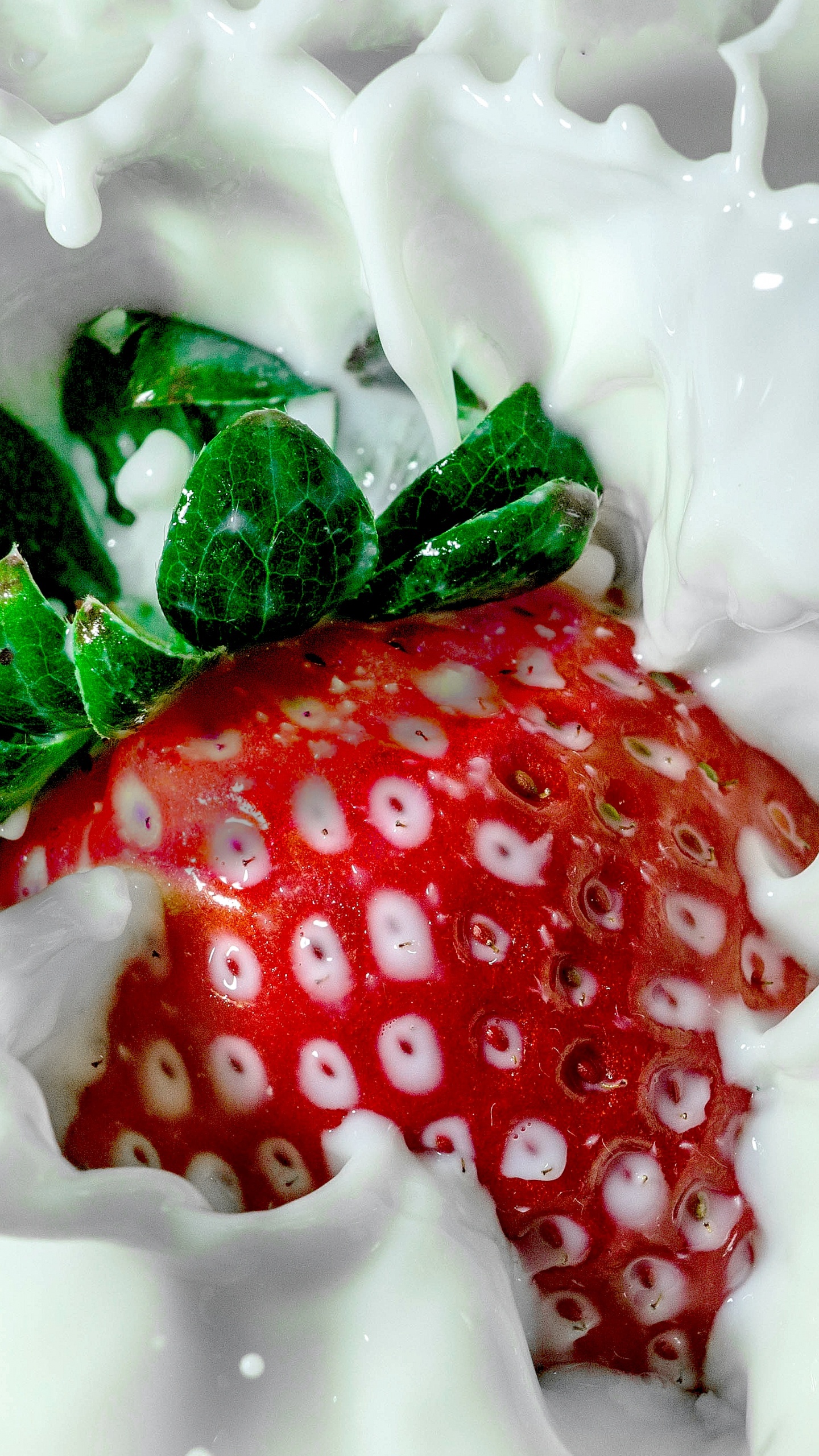 Strawberry on White Ceramic Plate. Wallpaper in 1440x2560 Resolution