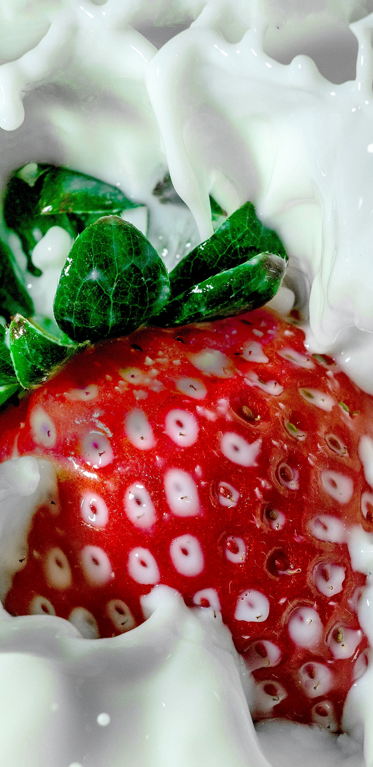 Strawberry on White Ceramic Plate. Wallpaper in 1440x2960 Resolution