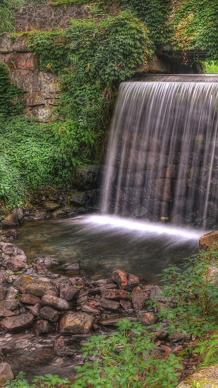Cascadas en Medio Del Bosque. Wallpaper in 720x1280 Resolution