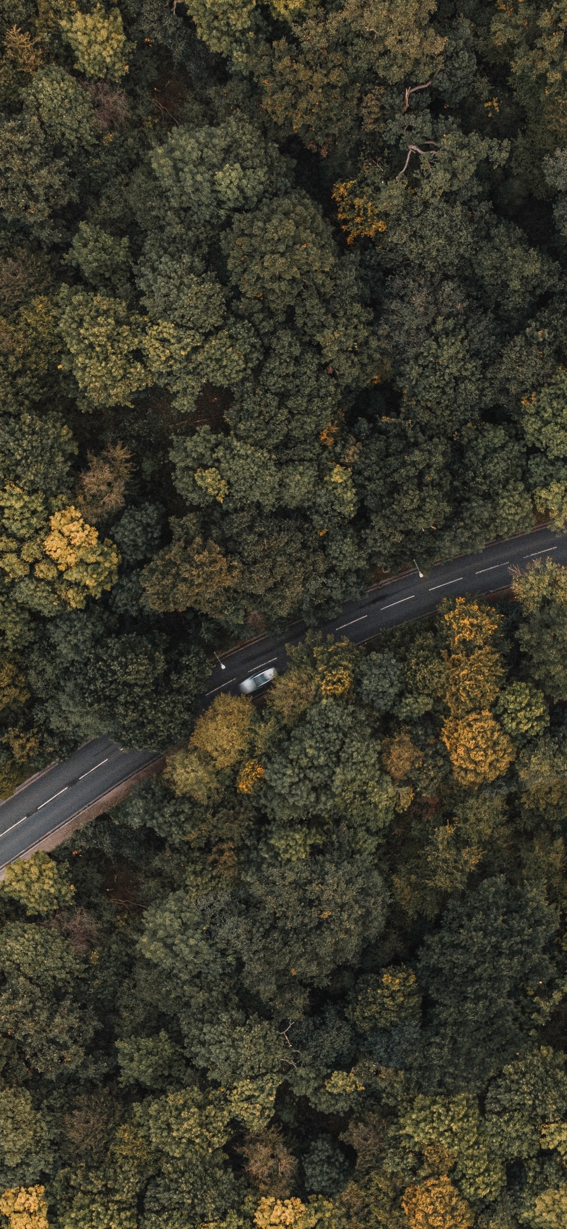 London, Papier, Metall, Geologie, Boden. Wallpaper in 1125x2436 Resolution