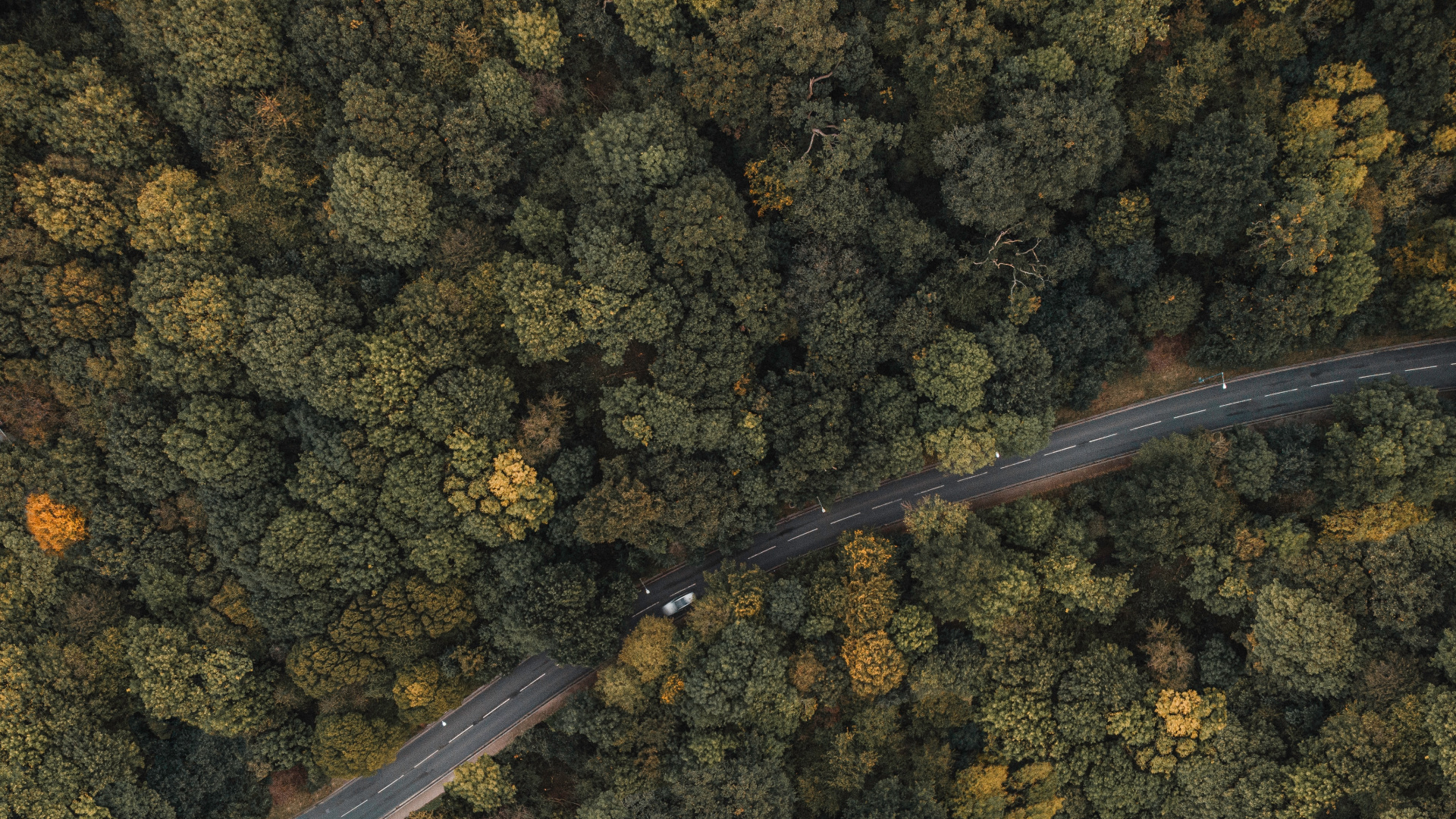 伦敦, 地质学, 的土壤 壁纸 1920x1080 允许