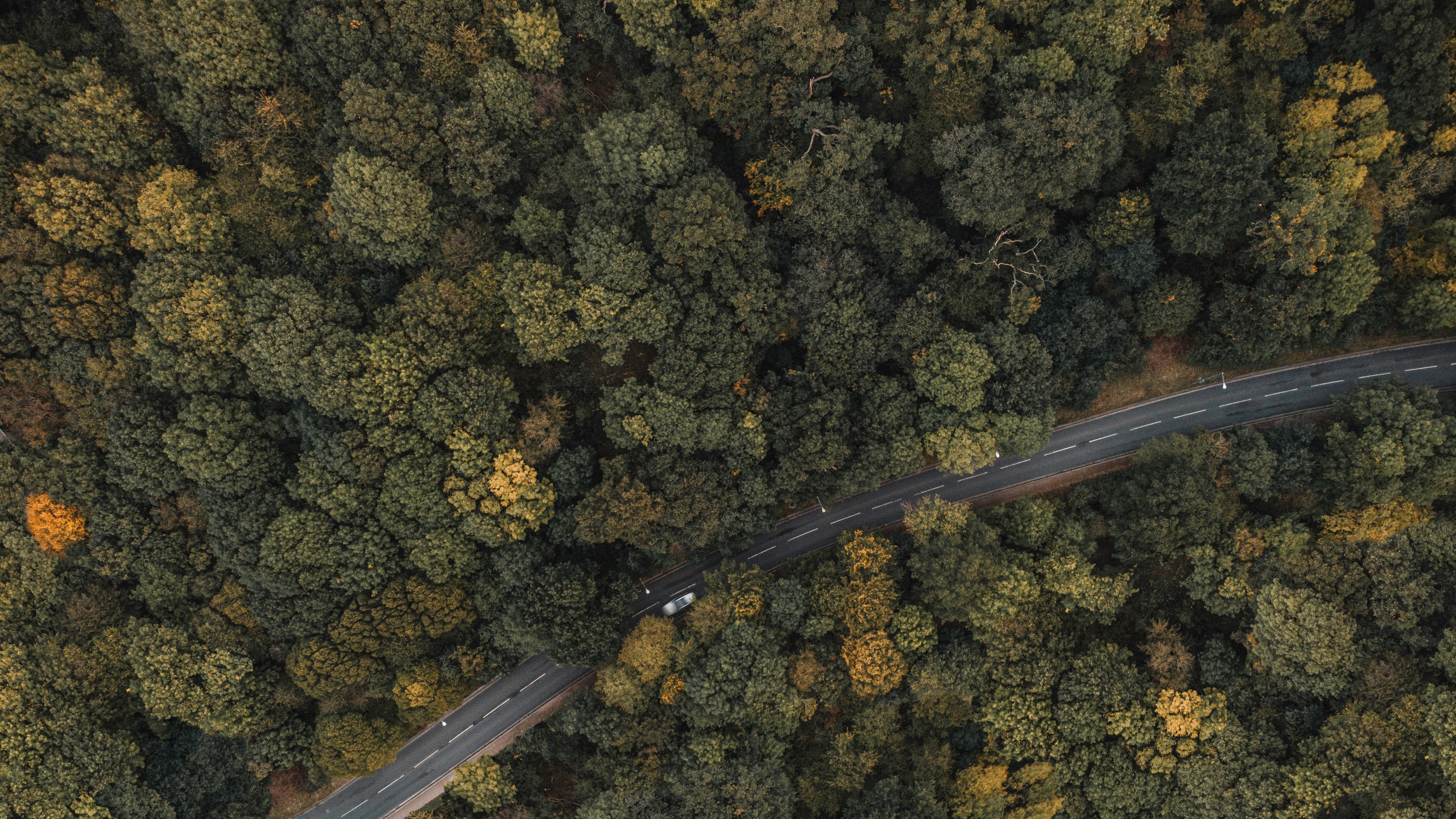 伦敦, 地质学, 的土壤 壁纸 2560x1440 允许