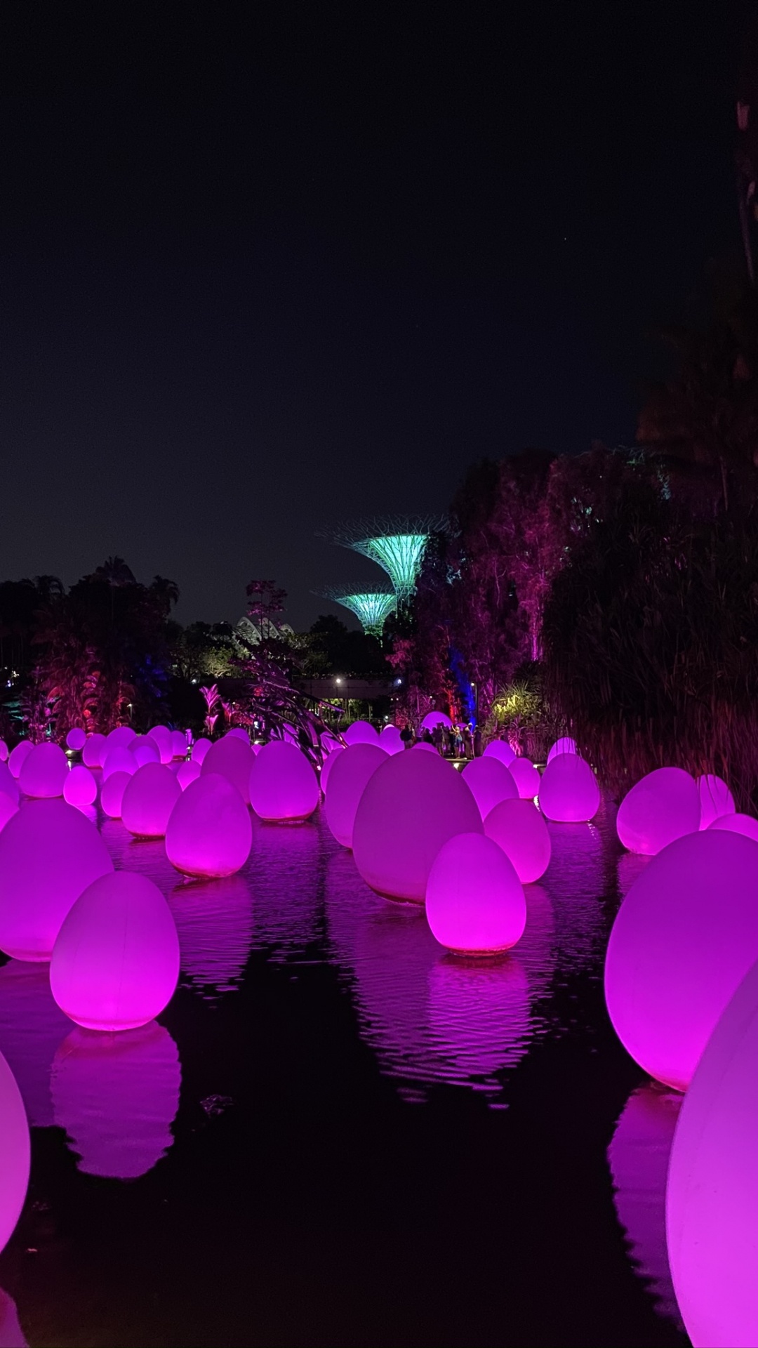 Singapore, Light, Physics, Science, Night. Wallpaper in 1080x1920 Resolution