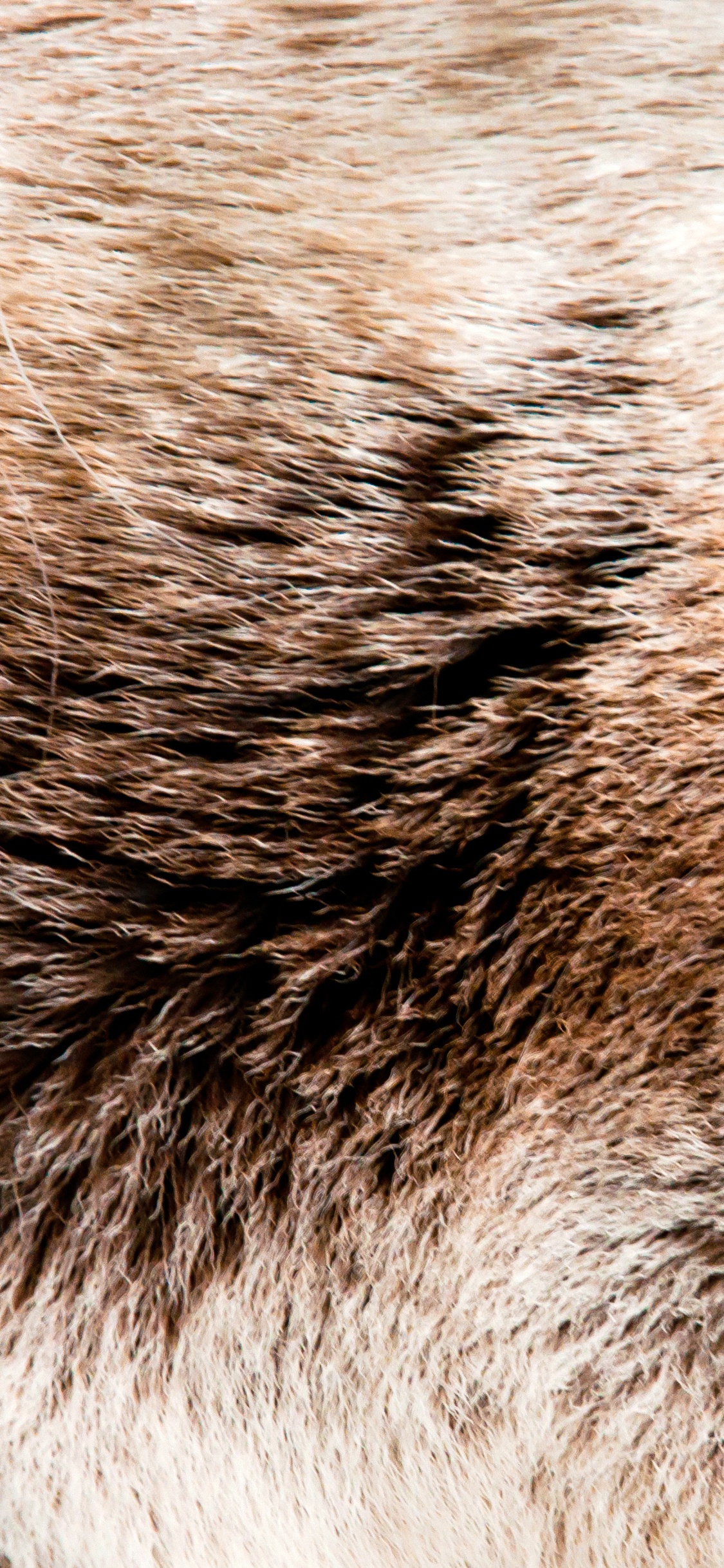 Brown and Black Fur Textile. Wallpaper in 1125x2436 Resolution