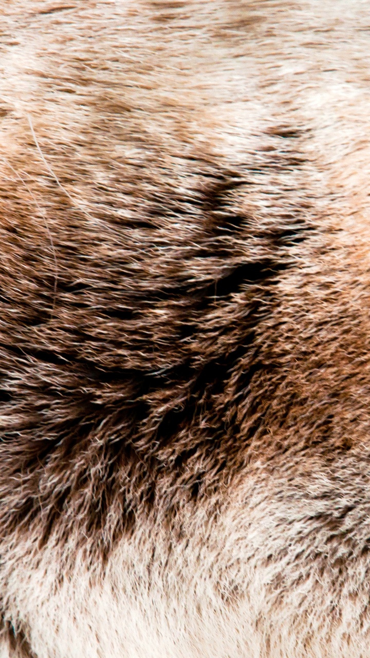 Textile Fourrure Marron et Noir. Wallpaper in 720x1280 Resolution