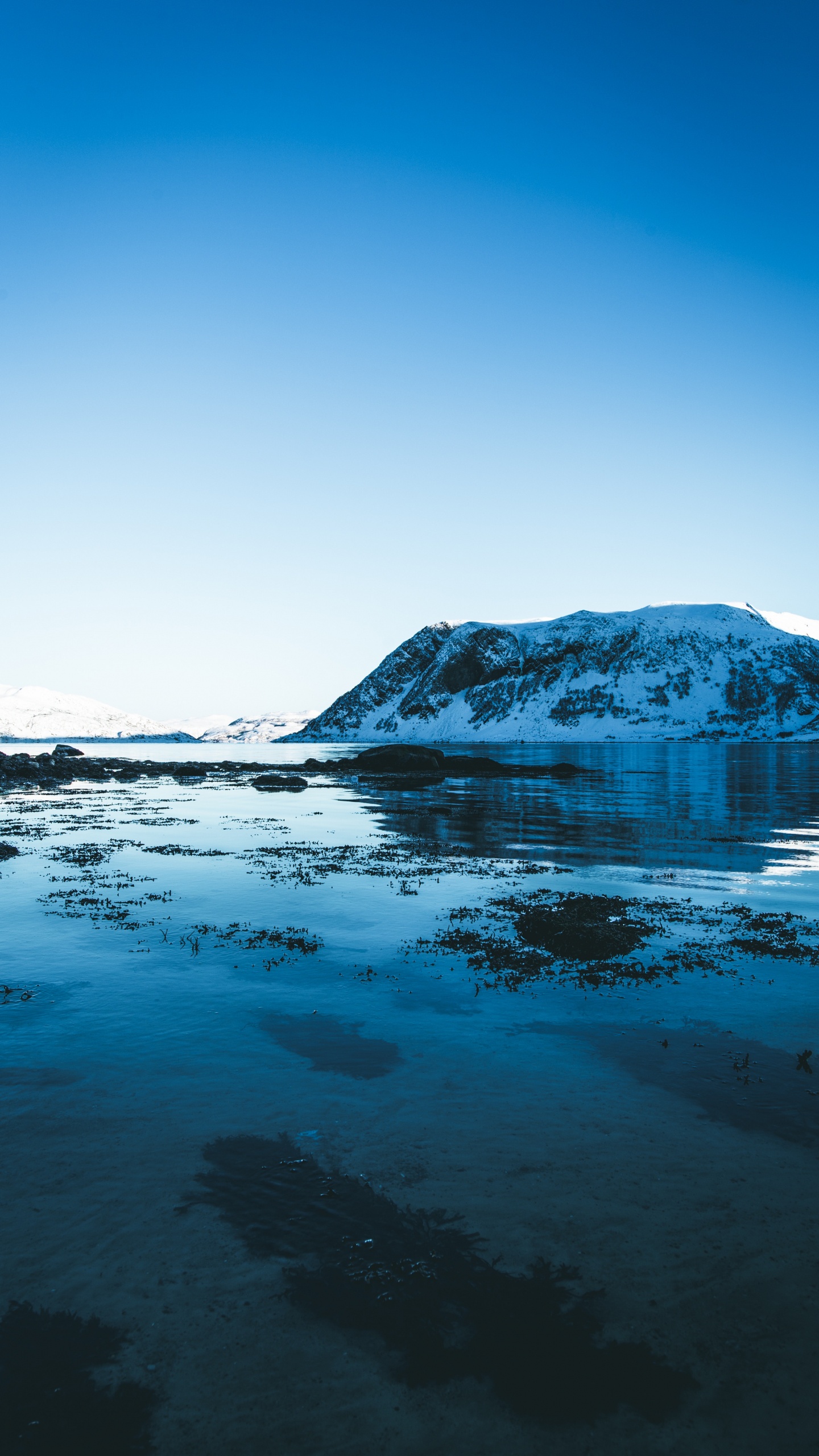 Gletscher, Nordpolarmeer, Gletschersee, Blau, Natur. Wallpaper in 1440x2560 Resolution