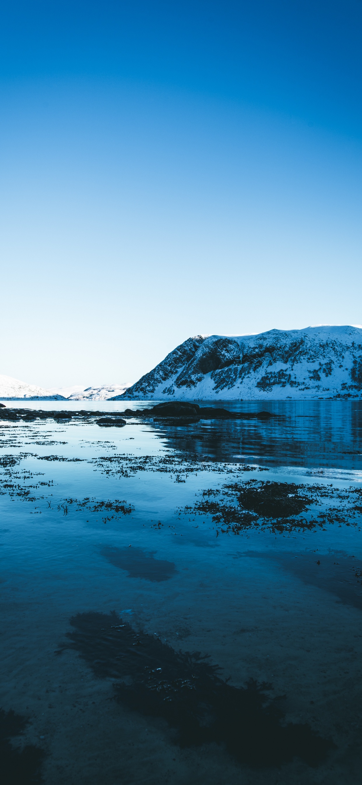 Glacier, Océan Arctique, le Lac Glaciaire, Blue, Nature. Wallpaper in 1242x2688 Resolution