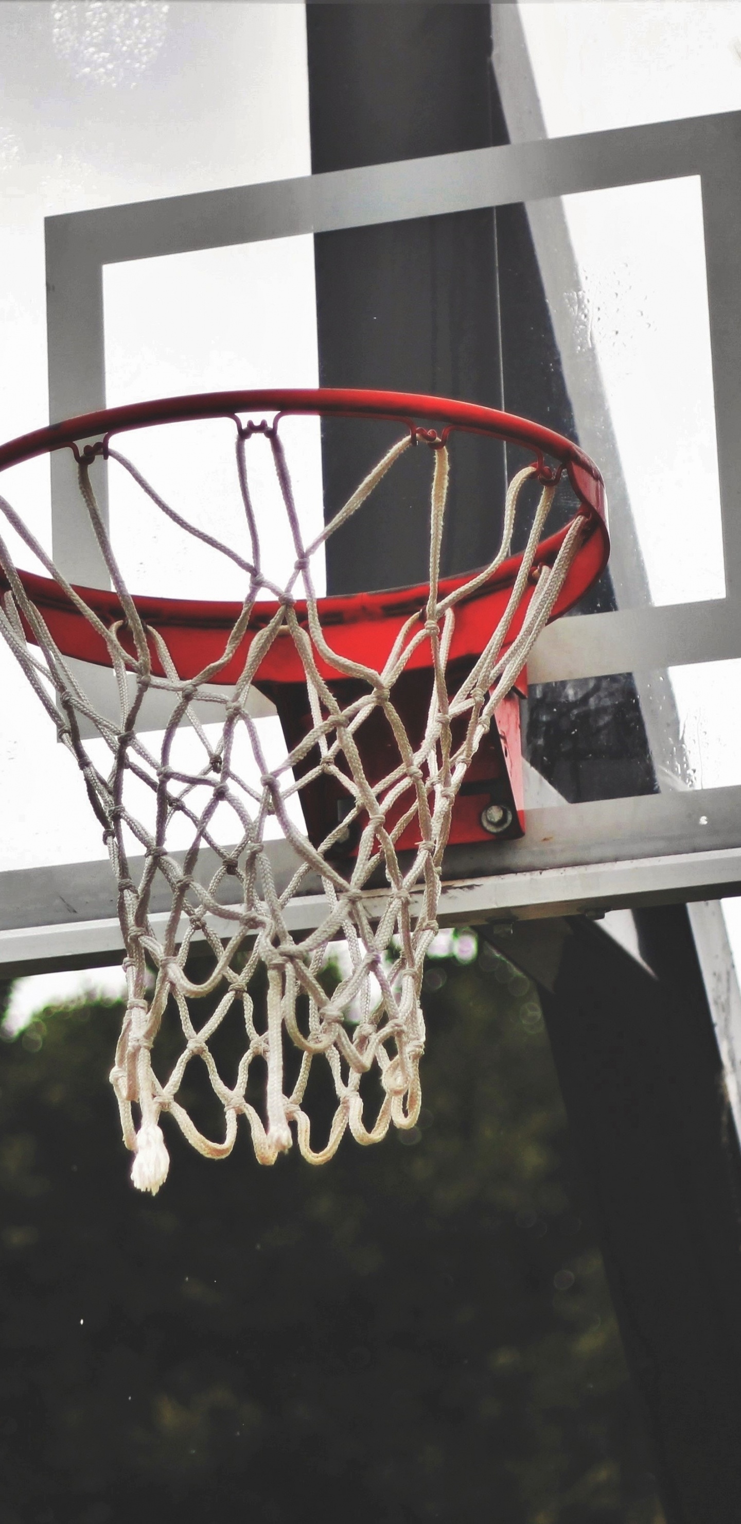Black and Red Basketball Hoop. Wallpaper in 1440x2960 Resolution