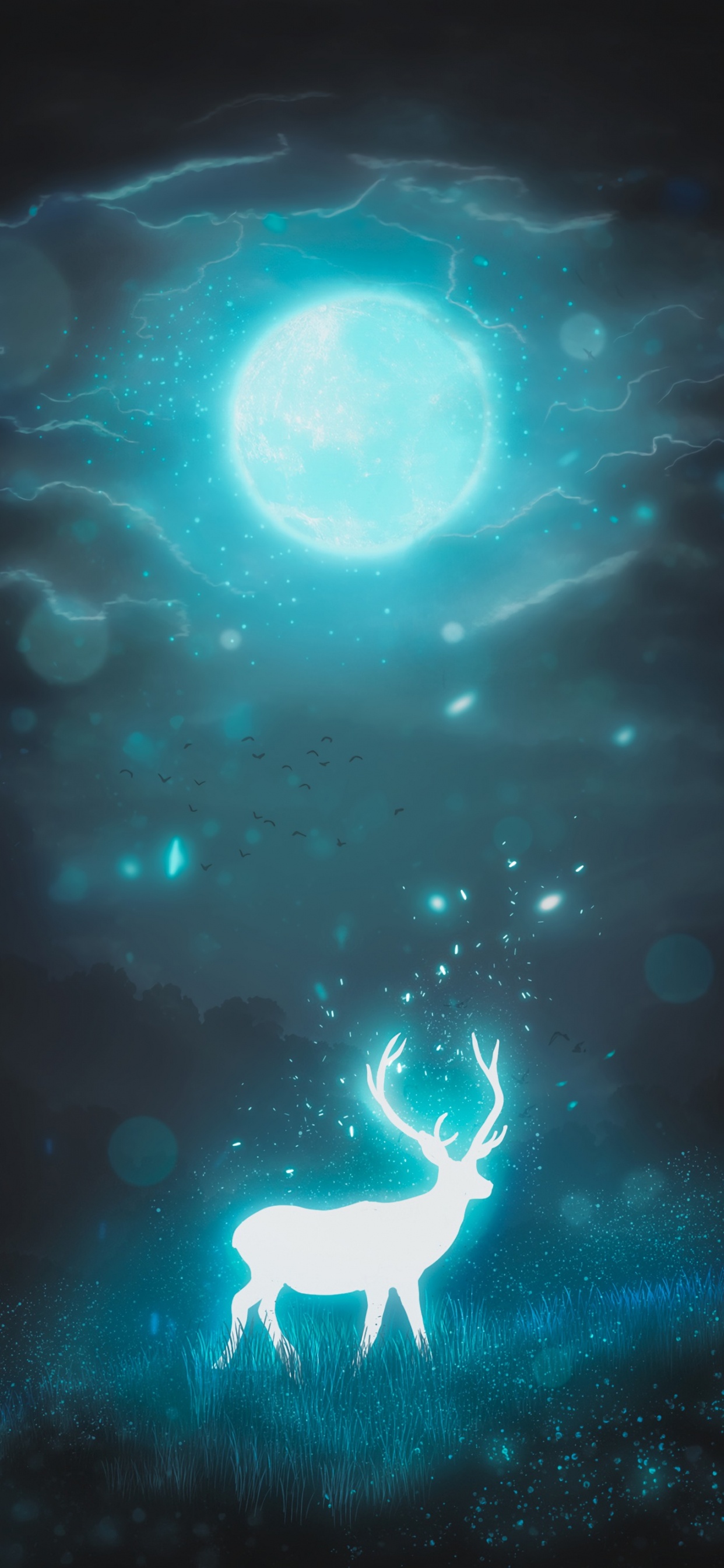 Blaue Und Weiße Herzillustration. Wallpaper in 1242x2688 Resolution