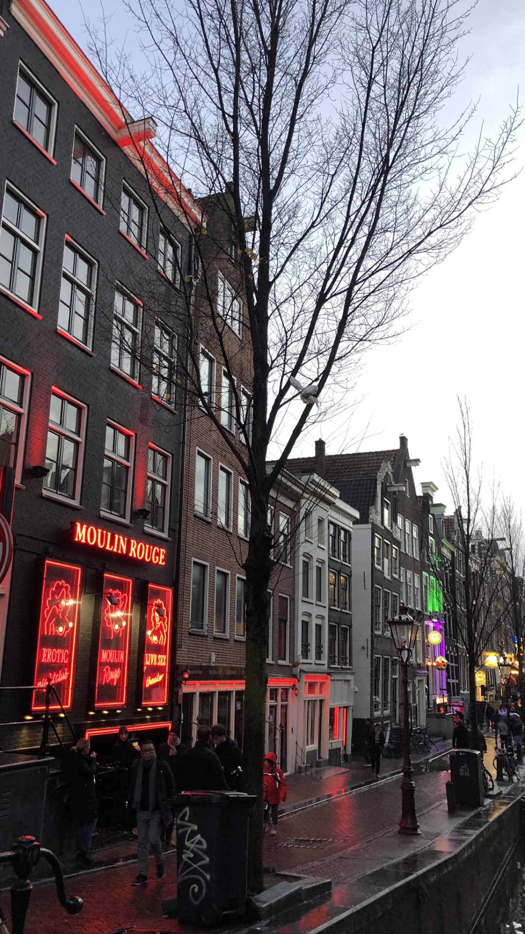 Amsterdam, Street, Window, Town, Neighbourhood. Wallpaper in 1080x1920 Resolution