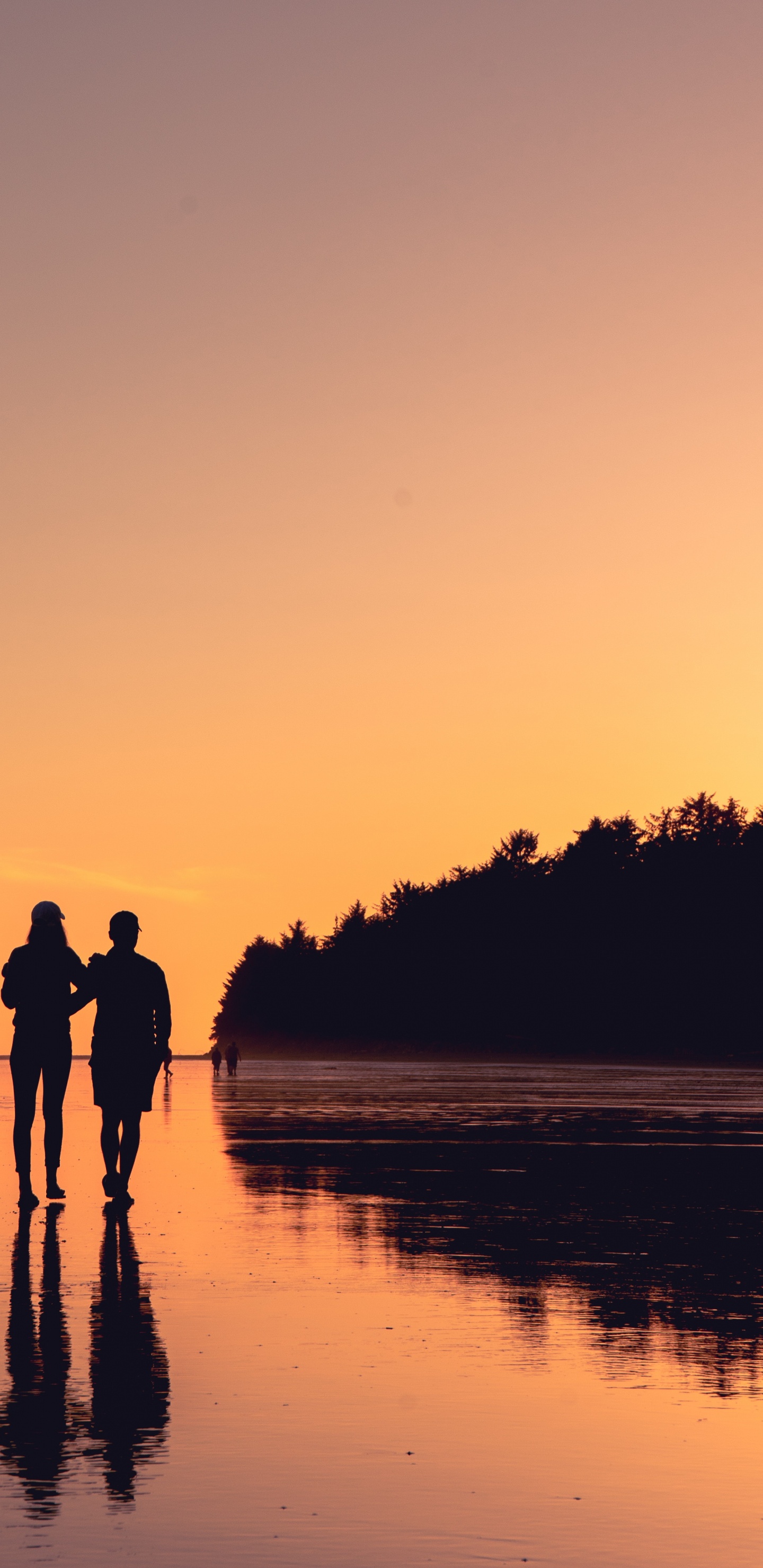 Sonnenuntergang, Horizont, Abend, Meer, Silhouette. Wallpaper in 1440x2960 Resolution