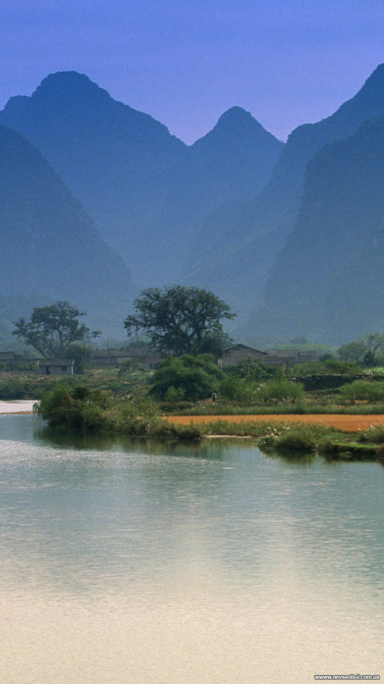 Grüne Bäume in Der Nähe Des Sees Tagsüber Lake. Wallpaper in 750x1334 Resolution