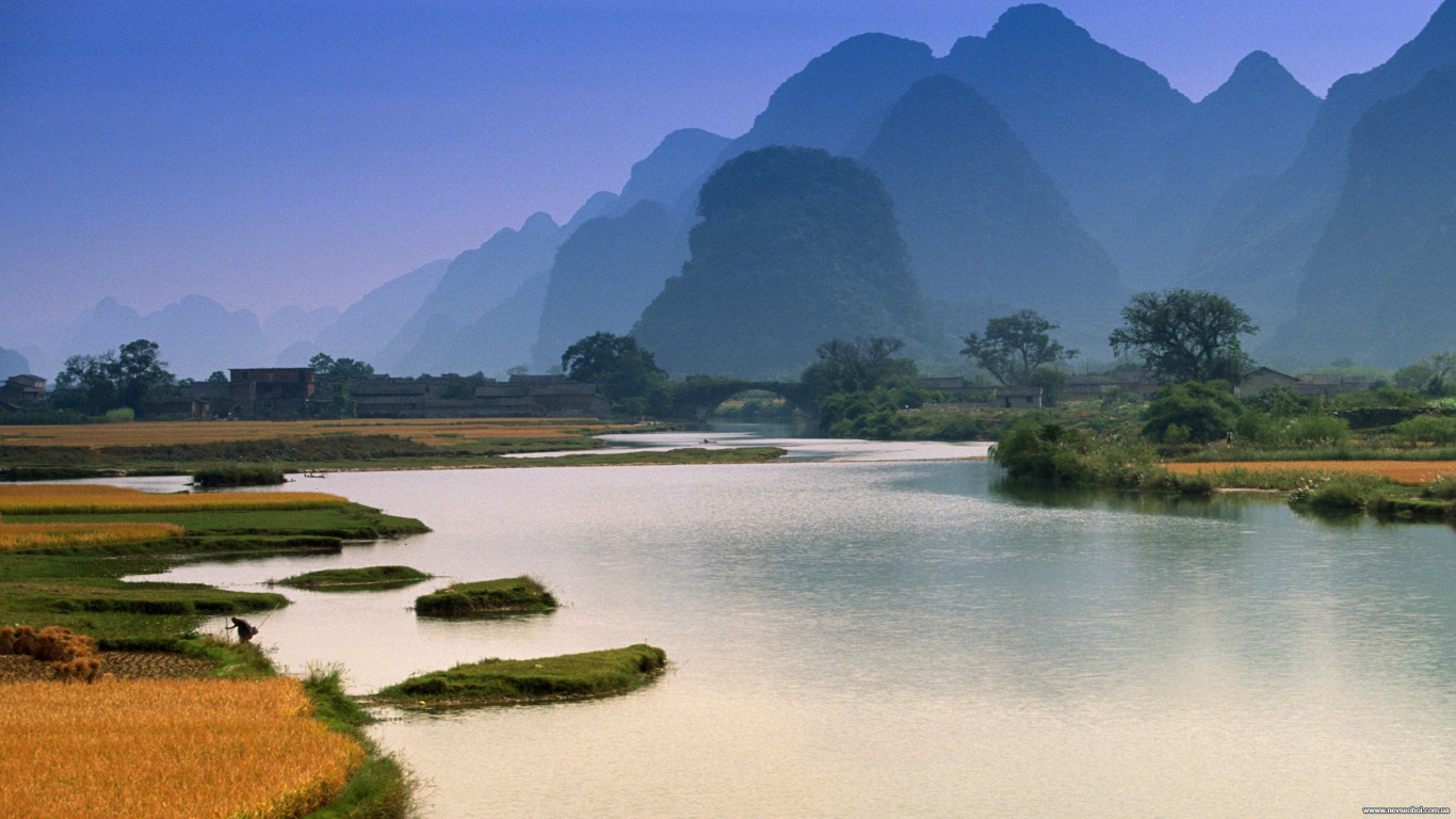 Green Trees Near Lake During Daytime. Wallpaper in 1366x768 Resolution