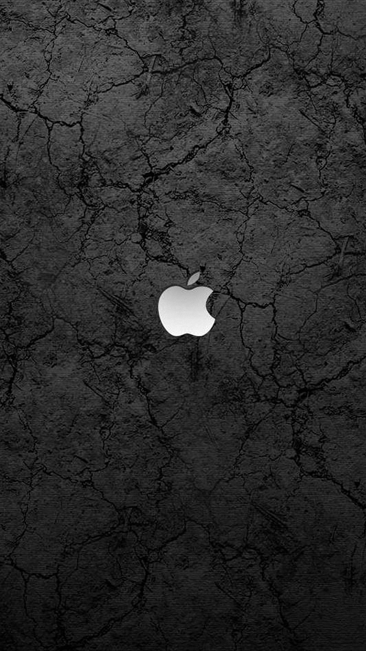 HD wallpaper Apple Black Logo apple logo  Wallpaper Flare