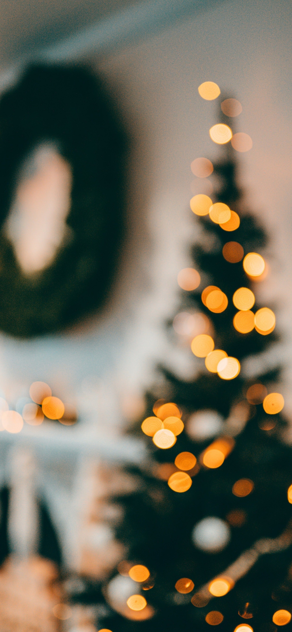 New Year, Christmas, Sunlight, Light, Plant. Wallpaper in 1242x2688 Resolution