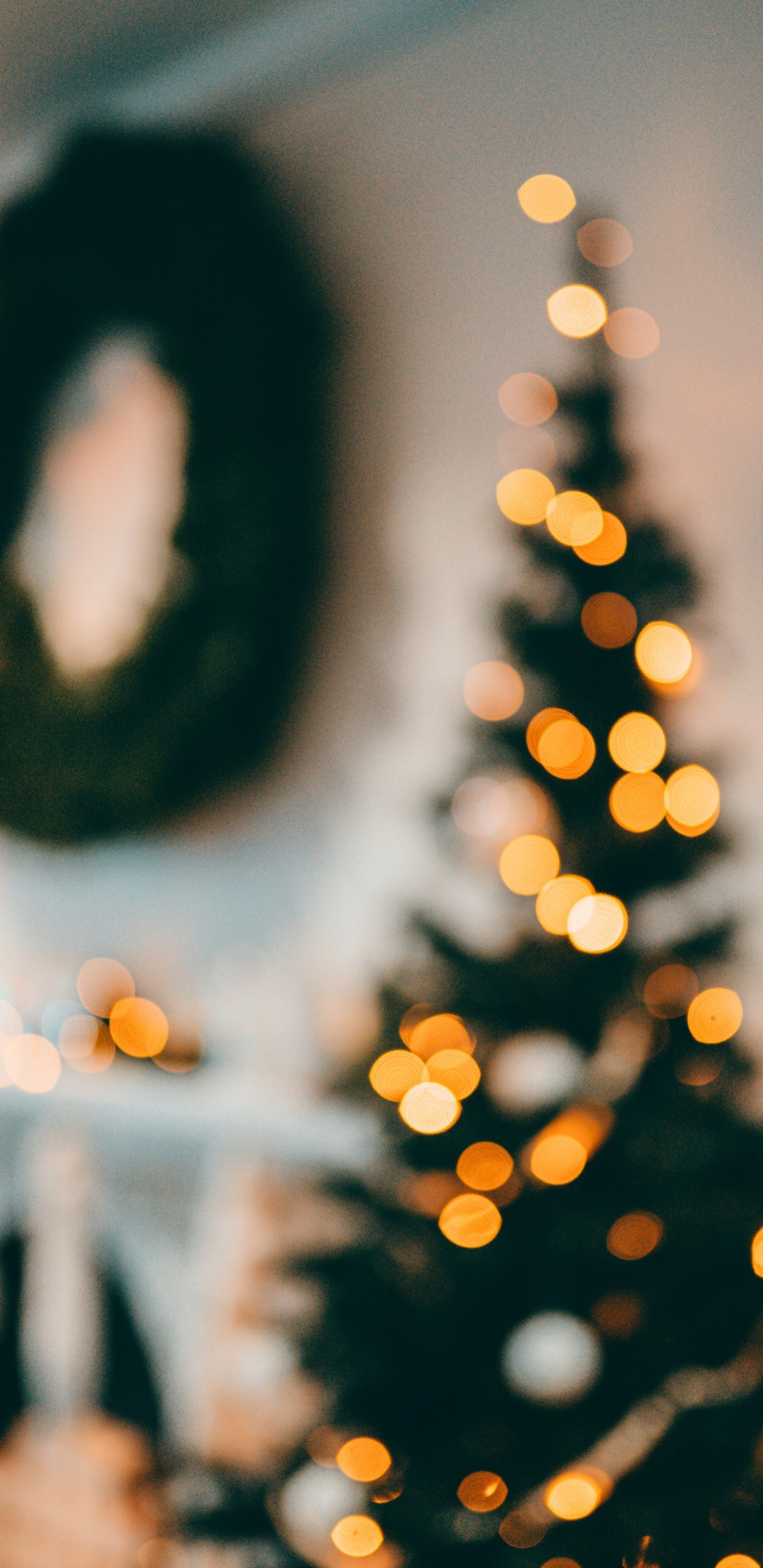 New Year, Christmas, Sunlight, Light, Plant. Wallpaper in 1440x2960 Resolution