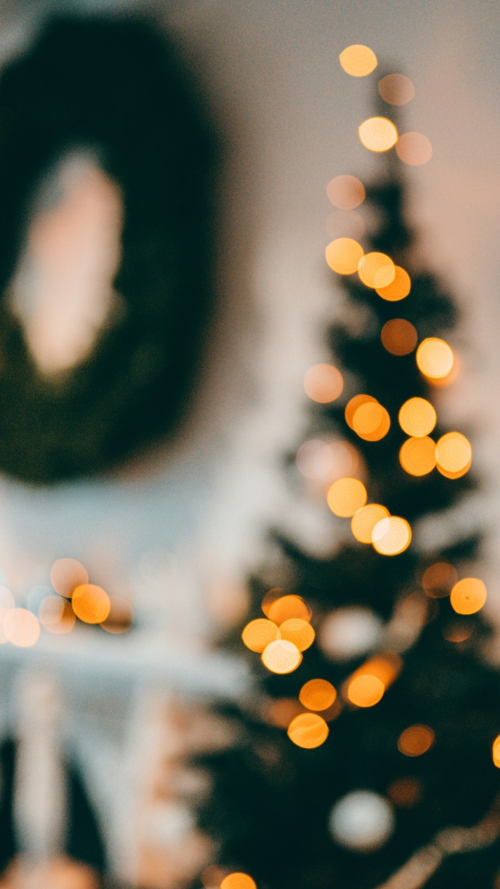 New Year, Christmas, Sunlight, Light, Plant. Wallpaper in 720x1280 Resolution