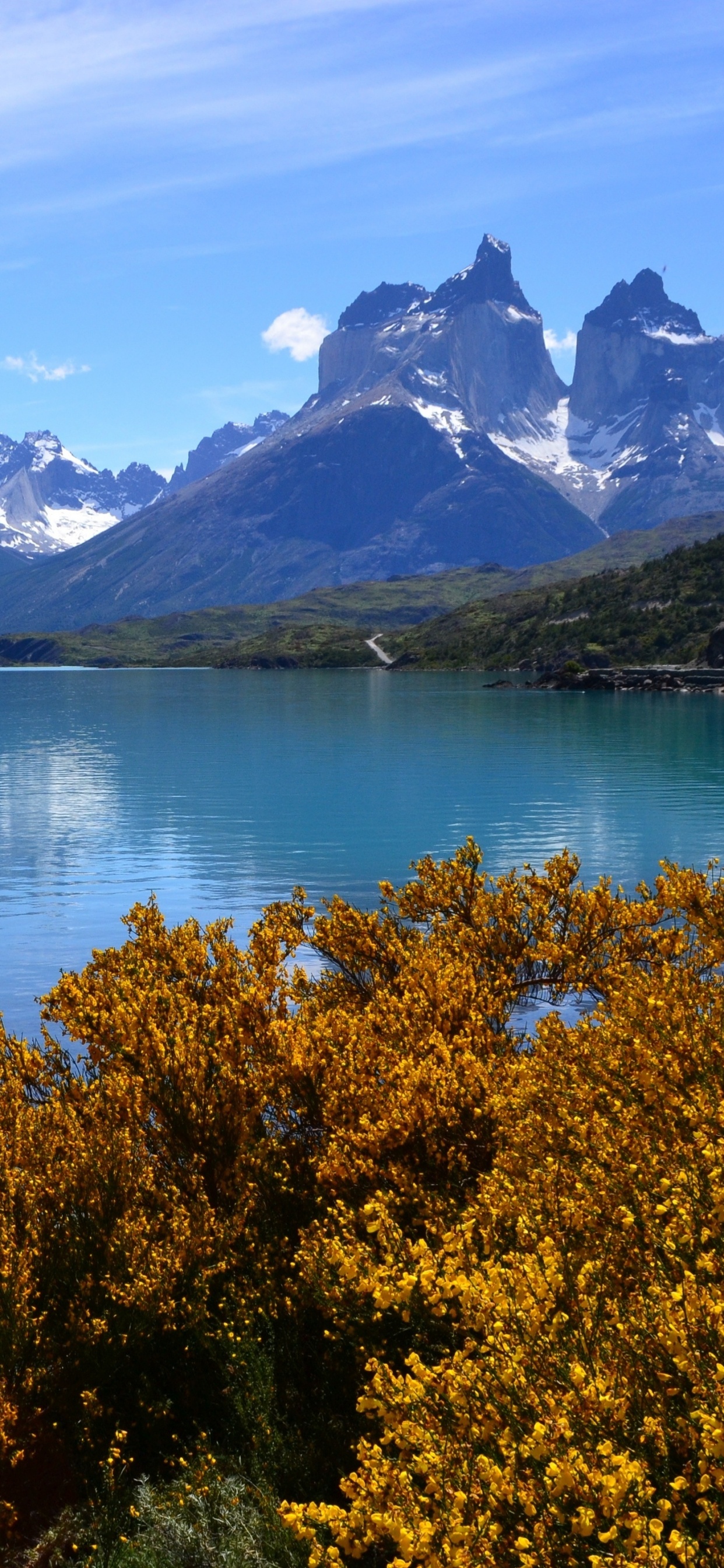 Green Trees Near Lake and Snow Covered Mountain During Daytime. Wallpaper in 1242x2688 Resolution