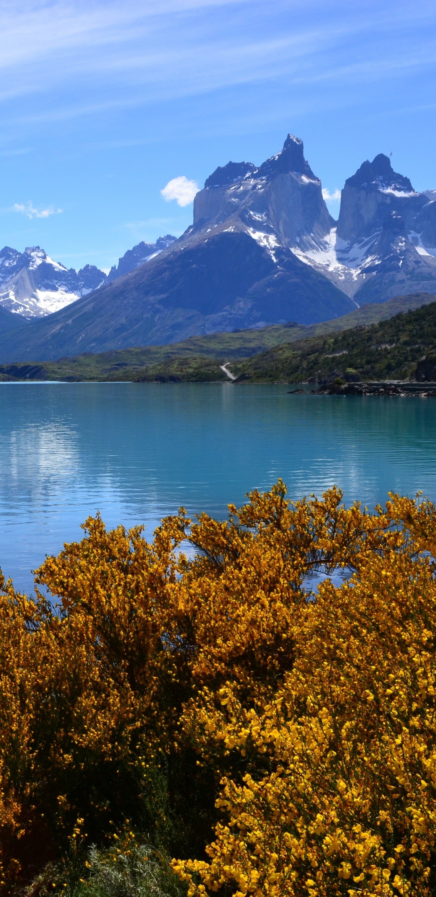 Green Trees Near Lake and Snow Covered Mountain During Daytime. Wallpaper in 1440x2960 Resolution