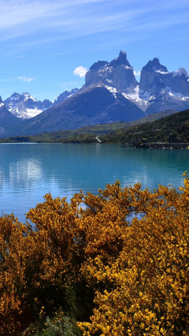 Green Trees Near Lake and Snow Covered Mountain During Daytime. Wallpaper in 720x1280 Resolution