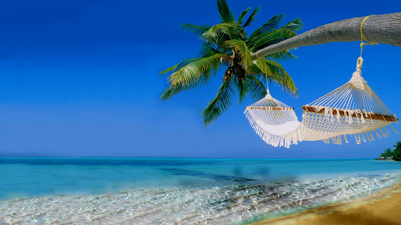 Green Palm Tree on White Sand Beach During Daytime. Wallpaper in 1280x720 Resolution