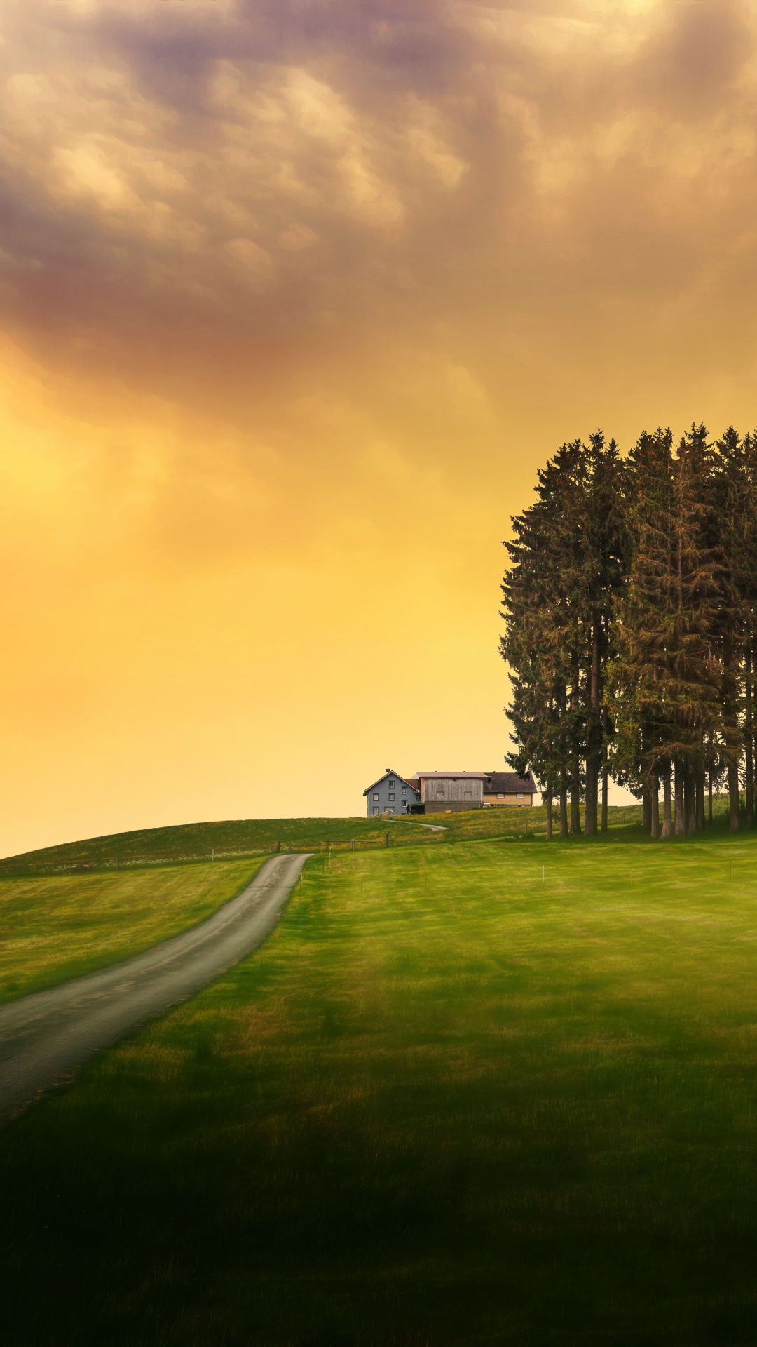 Green Grass Field With Trees Under Cloudy Sky During Daytime. Wallpaper in 1080x1920 Resolution