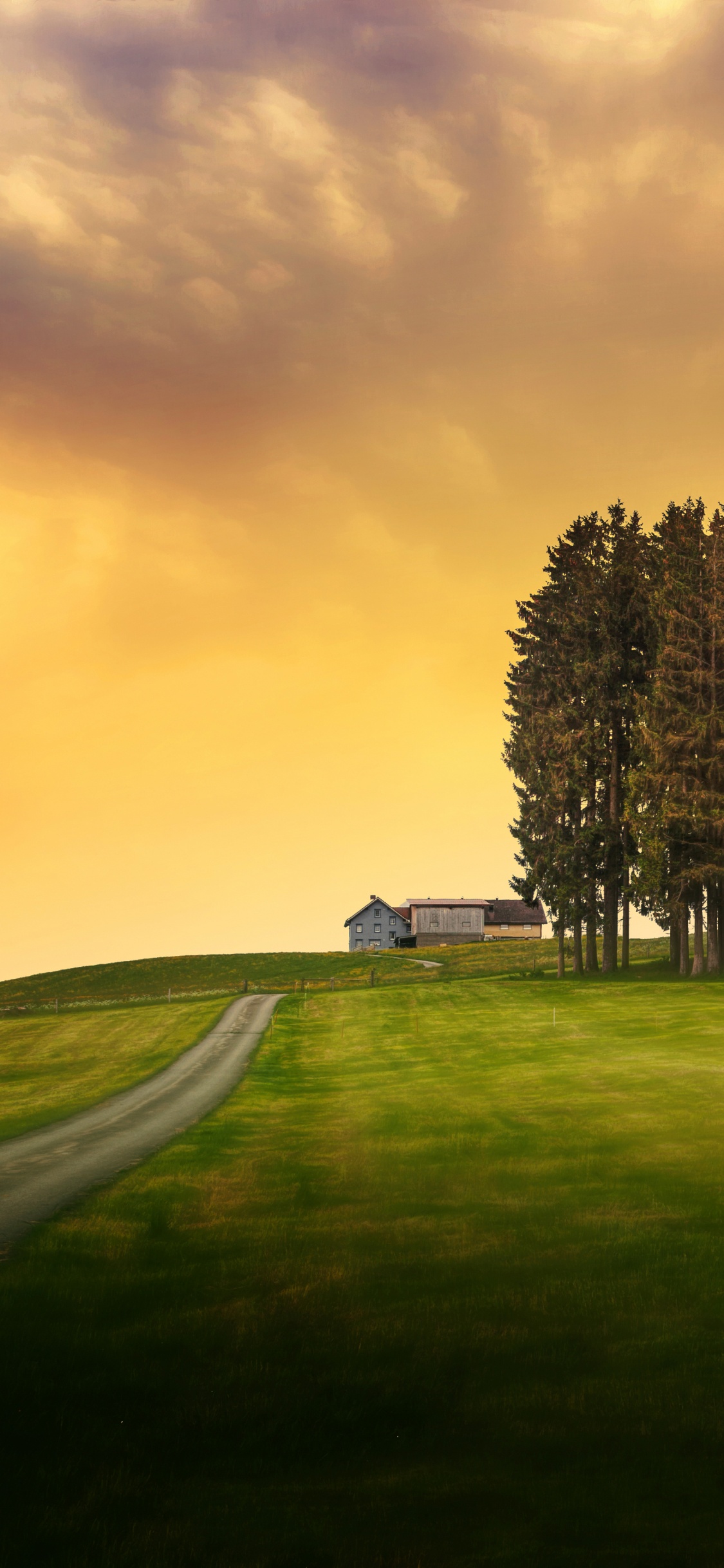 Green Grass Field With Trees Under Cloudy Sky During Daytime. Wallpaper in 1125x2436 Resolution