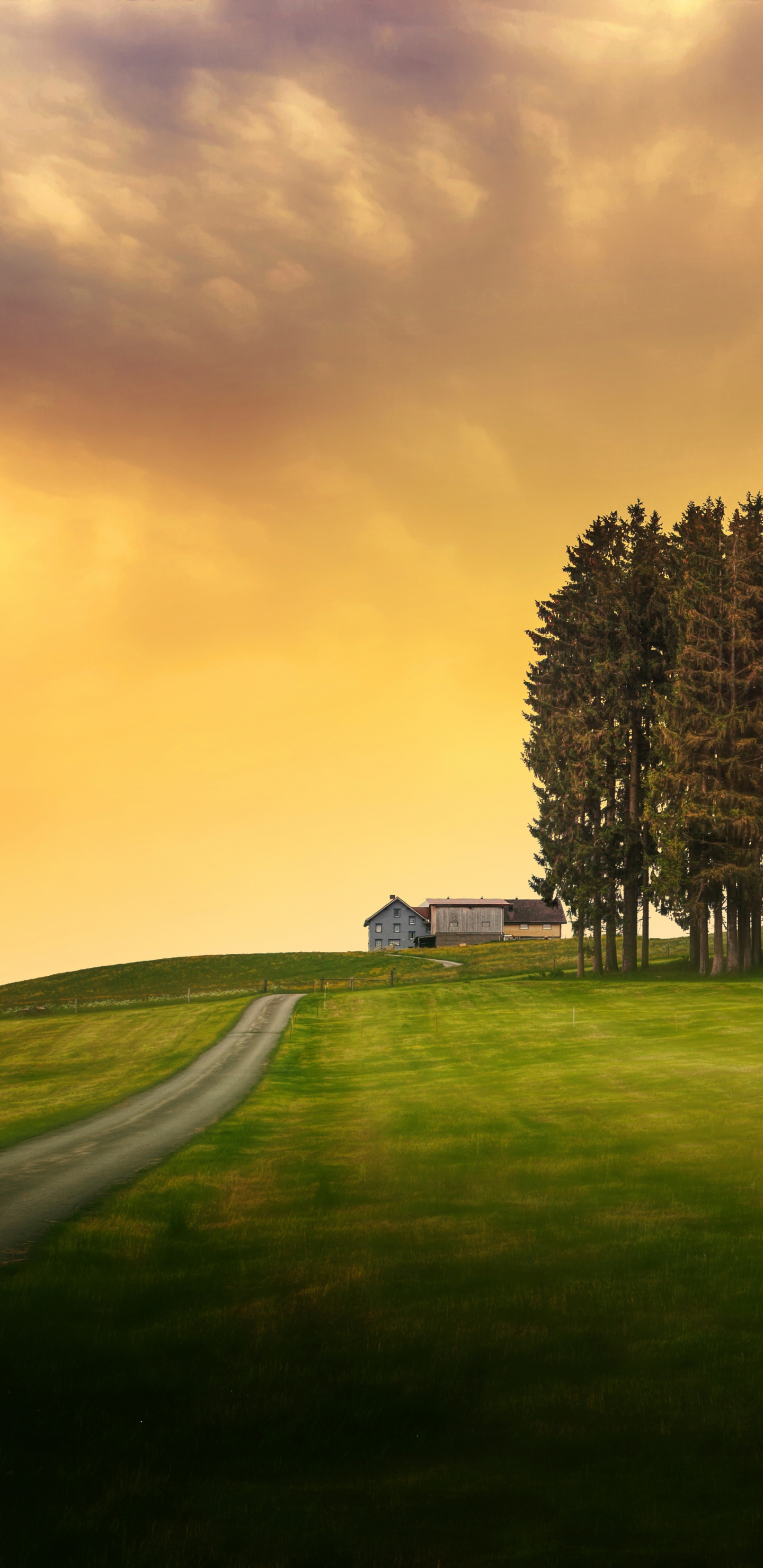 Green Grass Field With Trees Under Cloudy Sky During Daytime. Wallpaper in 1440x2960 Resolution