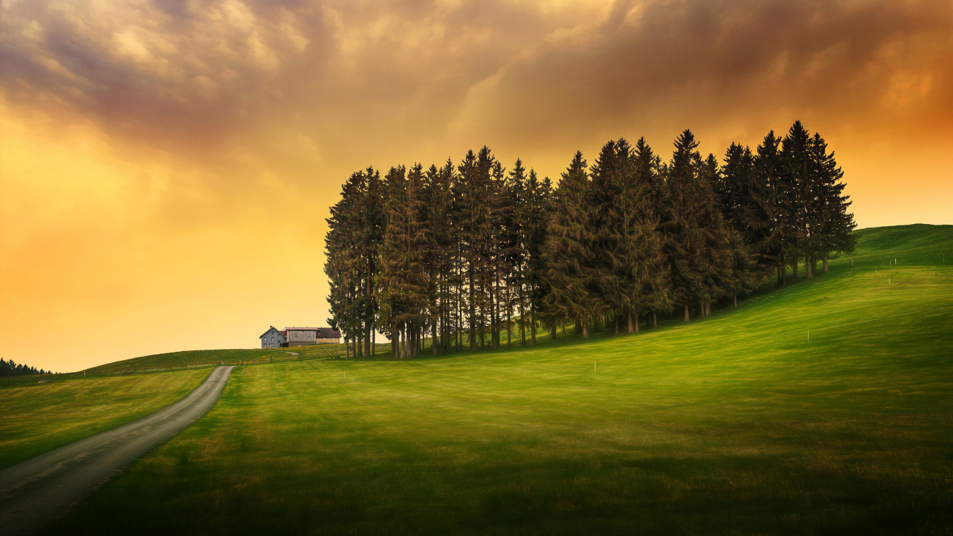 Grüne Wiese Mit Bäumen Unter Bewölktem Himmel Tagsüber. Wallpaper in 1366x768 Resolution