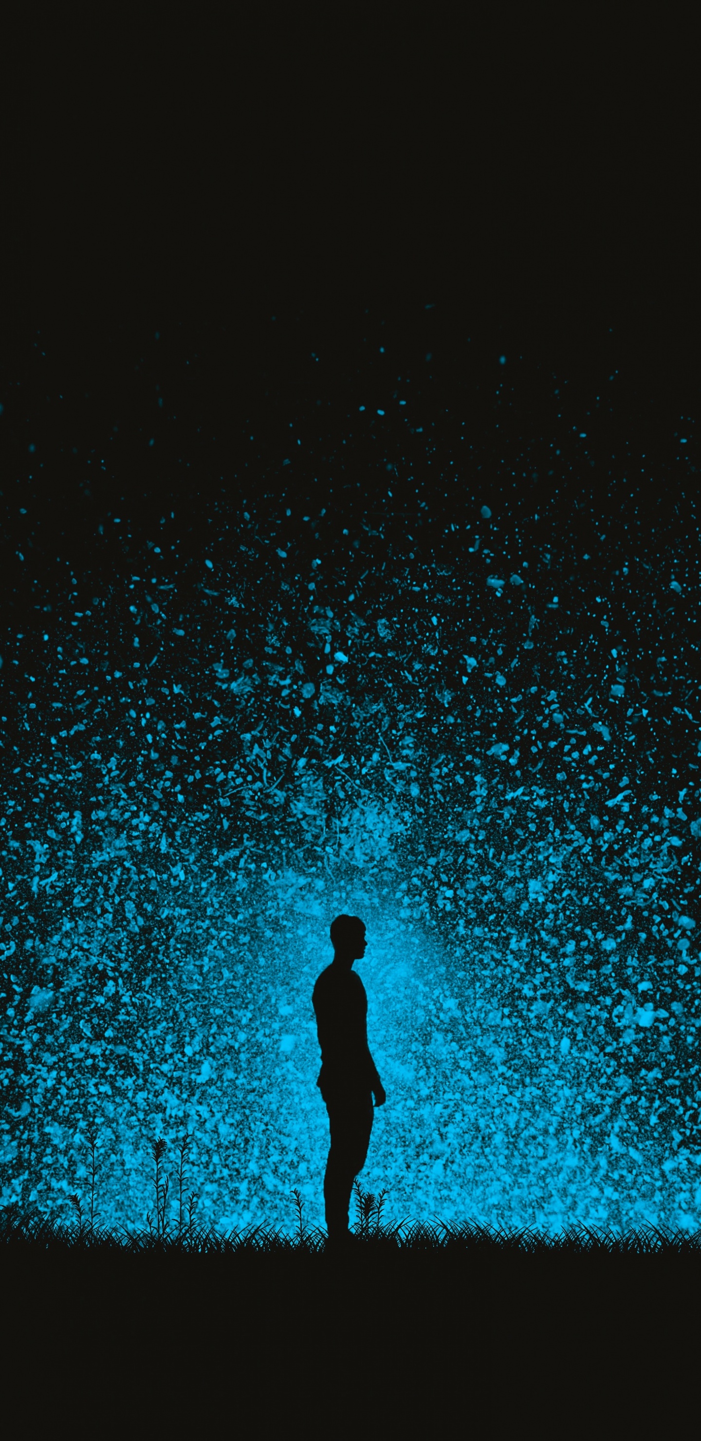 Silhouette of Person Standing on The Ground With Blue Lights. Wallpaper in 1440x2960 Resolution