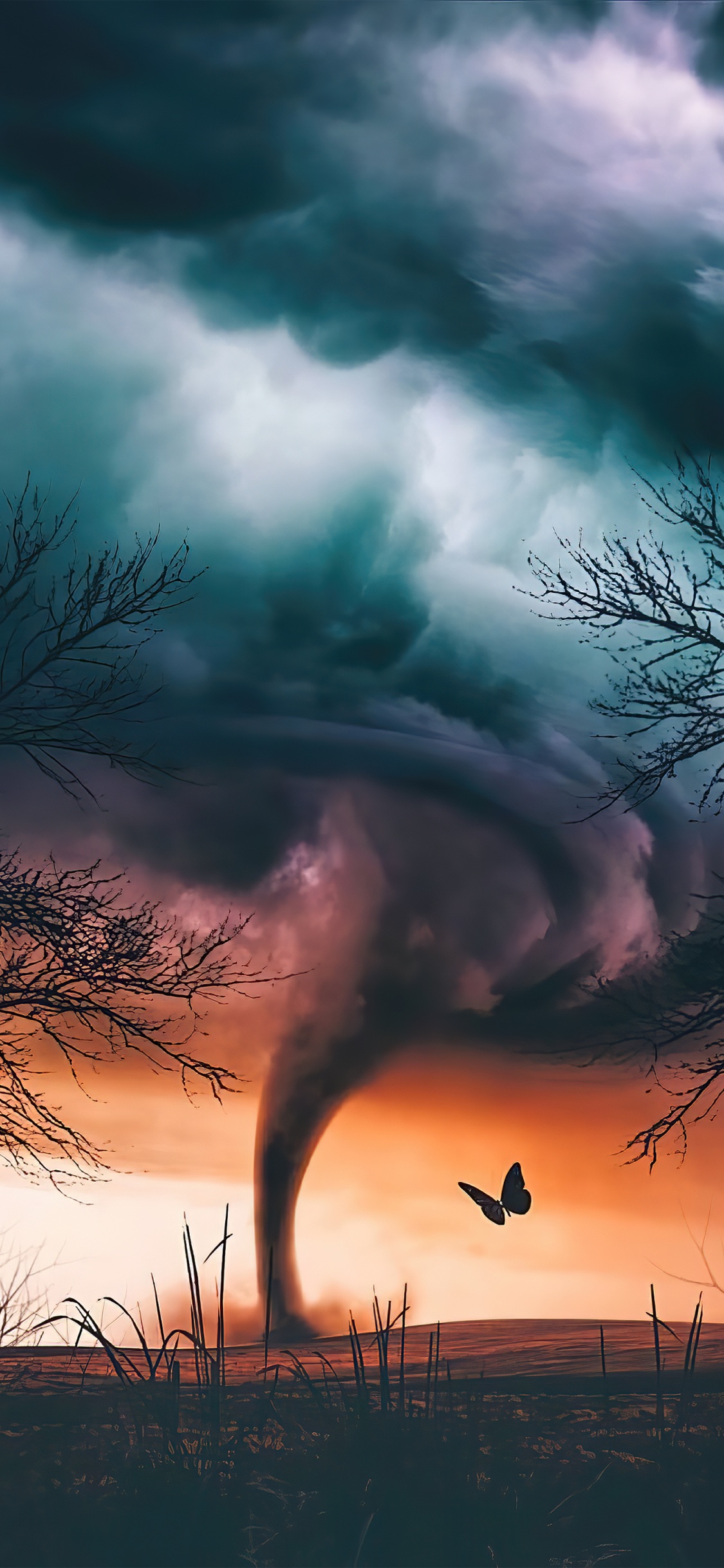 Fantasy, Fiction Fantastique, Atmosphère, la Journée, Nature. Wallpaper in 1125x2436 Resolution