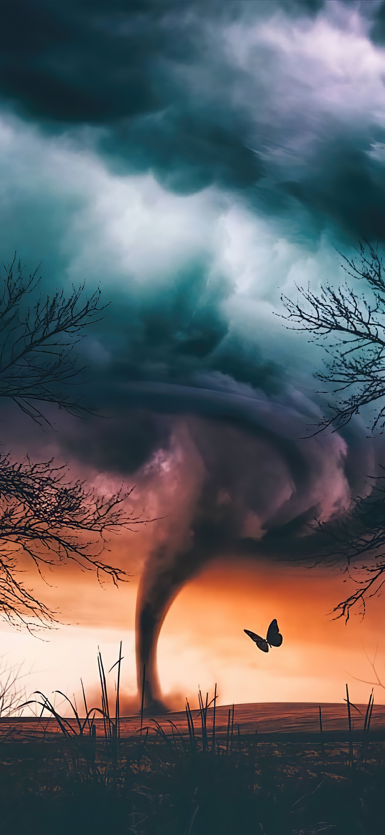 Fantasy, Fiction Fantastique, Atmosphère, la Journée, Nature. Wallpaper in 1242x2688 Resolution