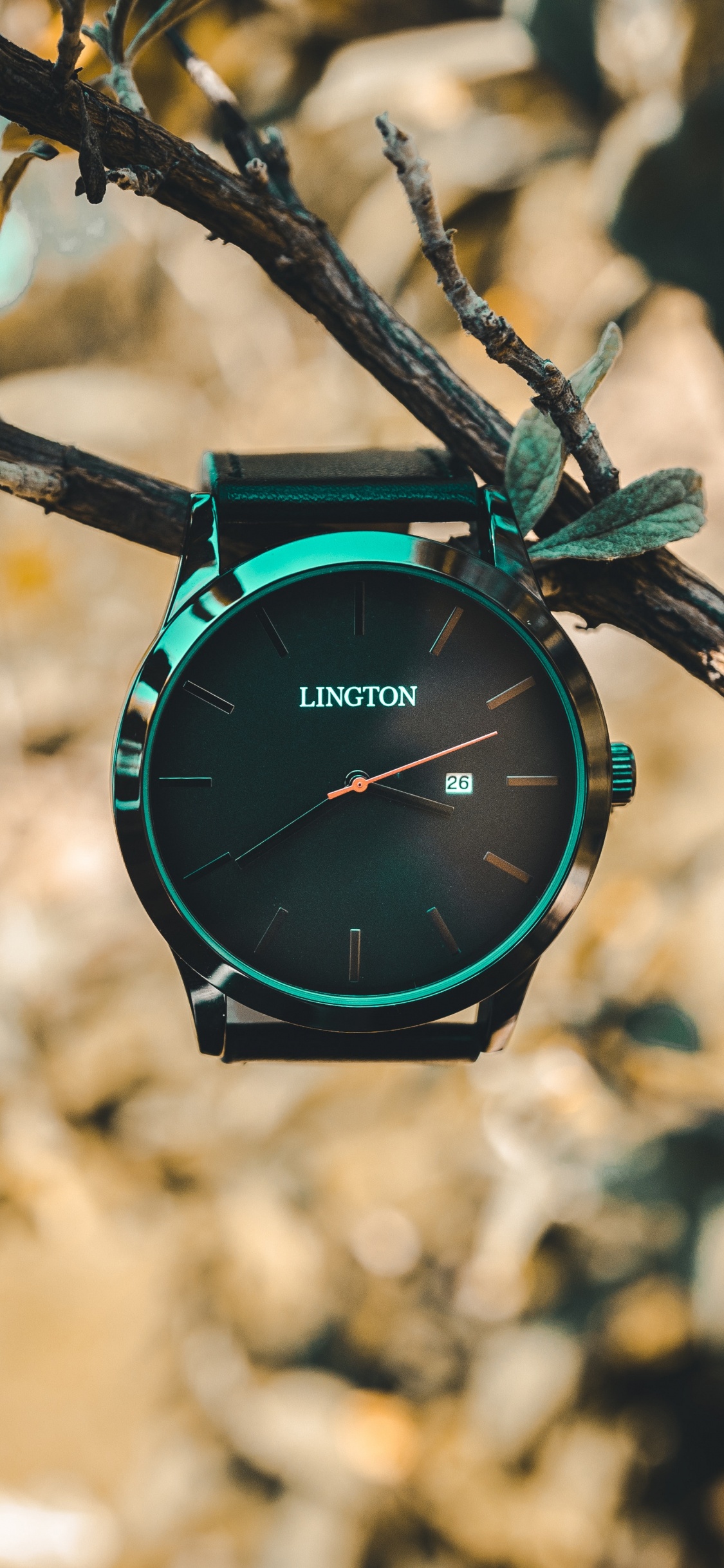 Reloj Analógico Negro y Verde Con Varilla de Madera Marrón. Wallpaper in 1125x2436 Resolution