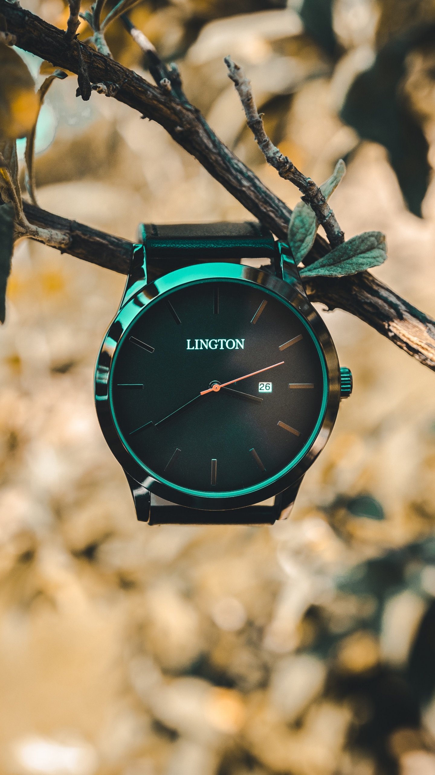 Reloj Analógico Negro y Verde Con Varilla de Madera Marrón. Wallpaper in 1440x2560 Resolution