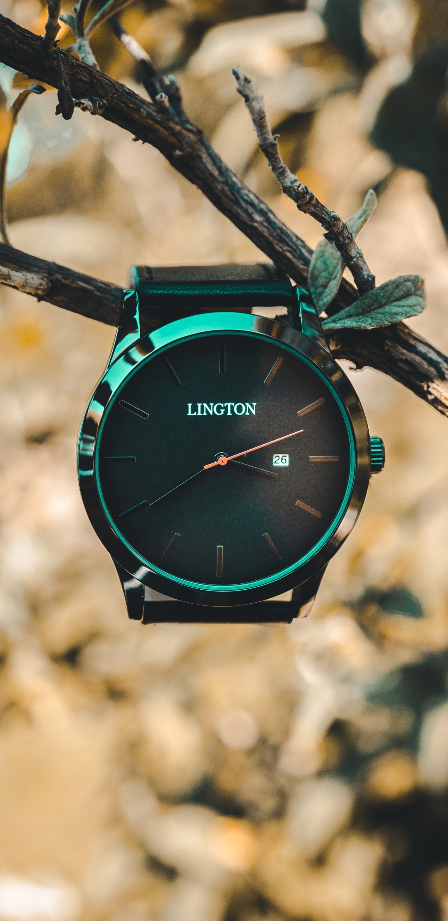 Reloj Analógico Negro y Verde Con Varilla de Madera Marrón. Wallpaper in 1440x2960 Resolution