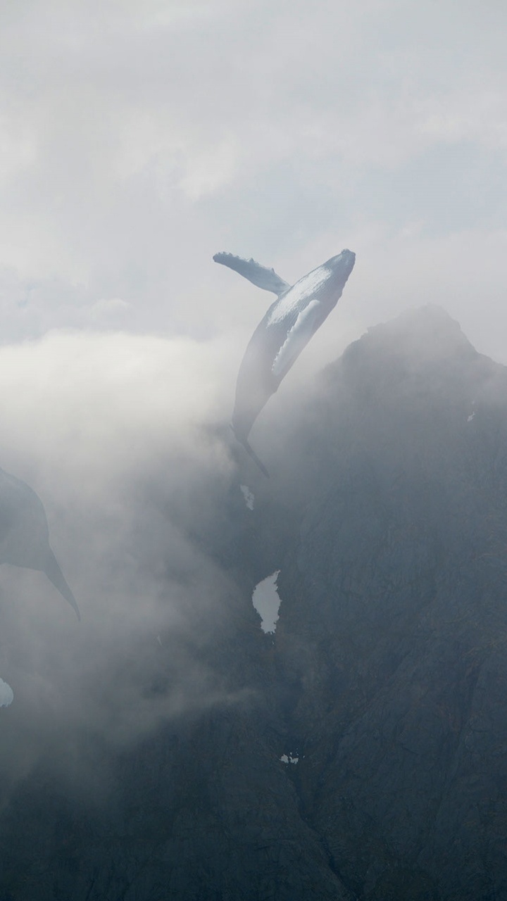 White and Gray Bird Flying Over The Mountain. Wallpaper in 720x1280 Resolution
